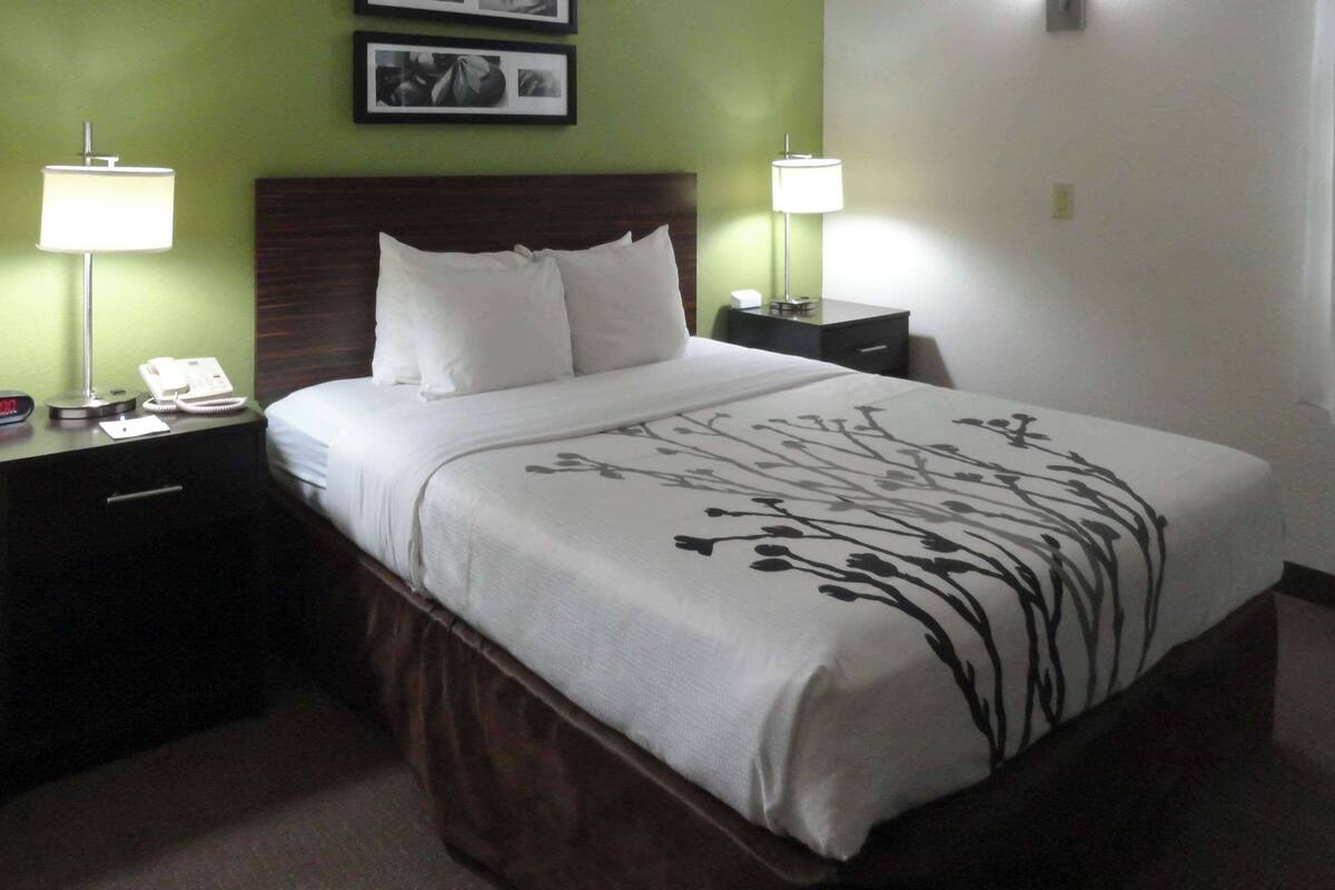A neatly made bed with white bedding and black floral patterns, two bedside tables with lamps, and a green wall with framed pictures.