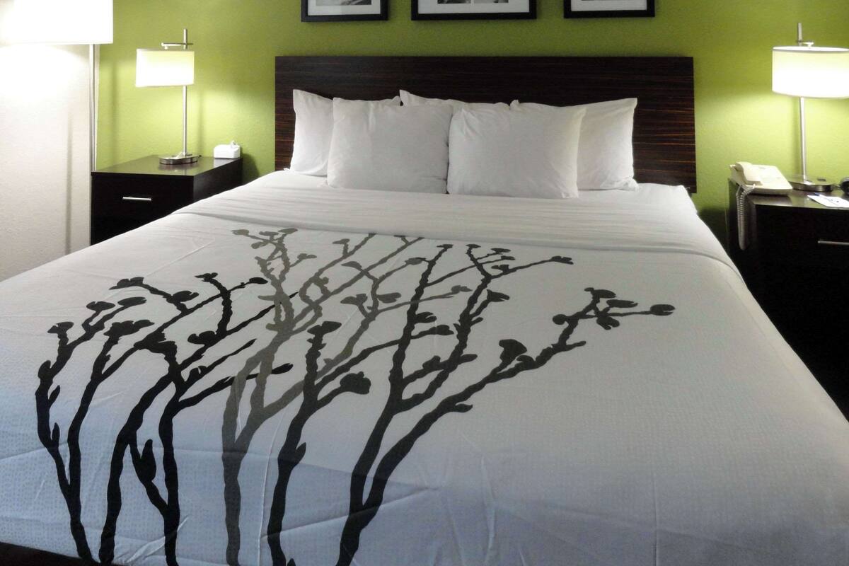 A neatly made bed with a white bedspread featuring a black tree design, flanked by two bedside tables with lamps, against a green wall.