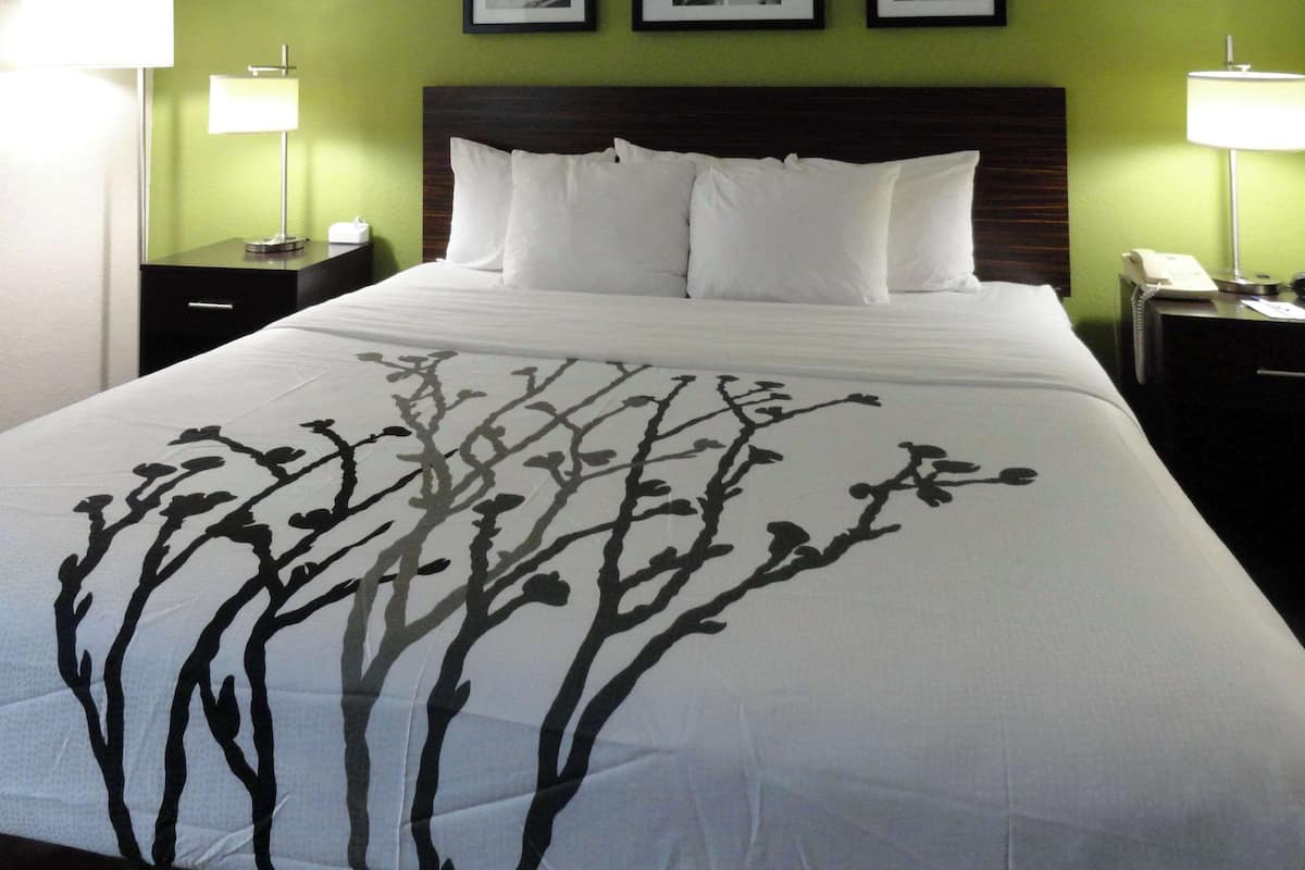 Standard Room, 1 King Bed, Non Smoking | Premium bedding, in-room safe, desk, iron/ironing board