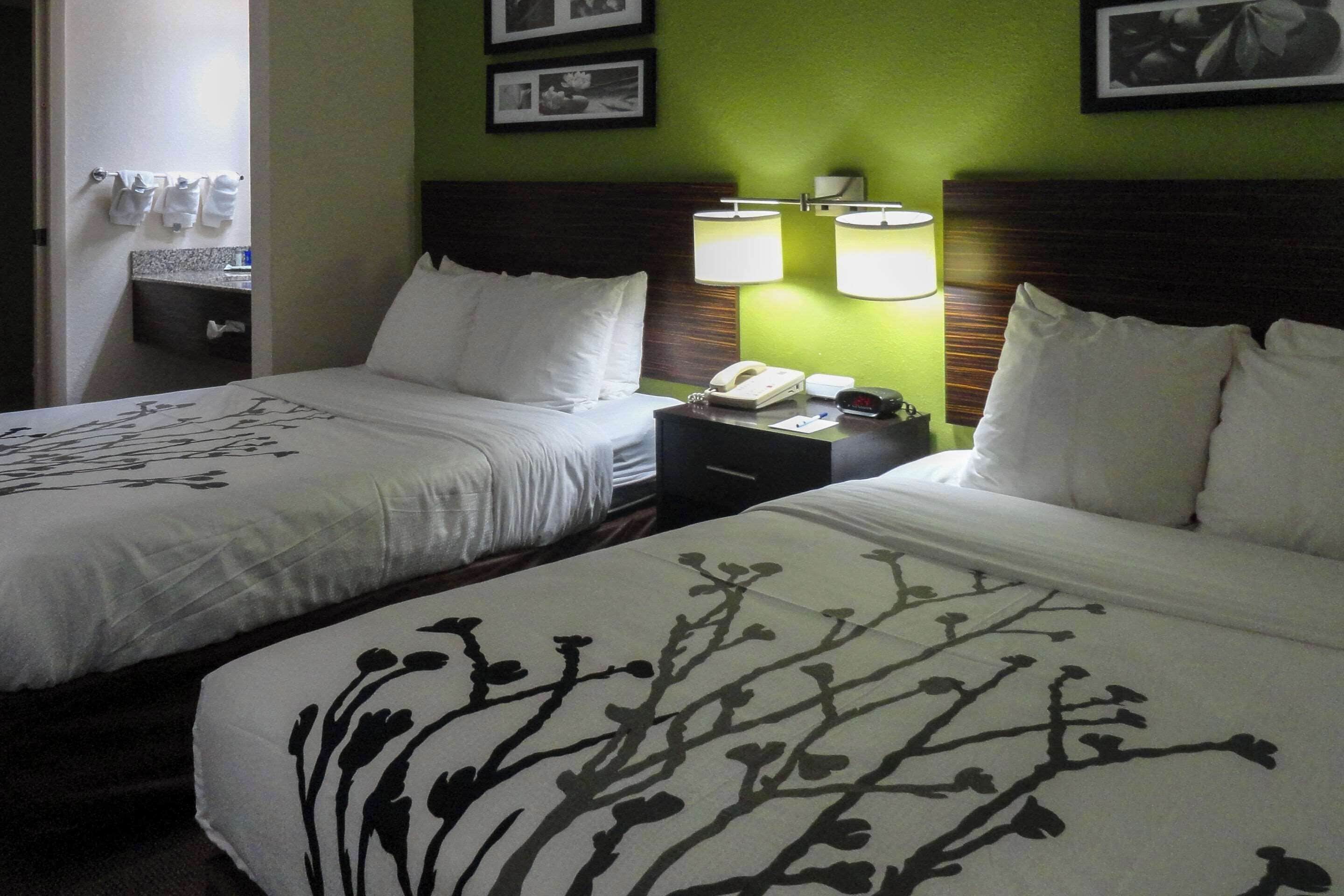 A hotel room with two beds, a nightstand, a lamp, and a wall with framed pictures.
