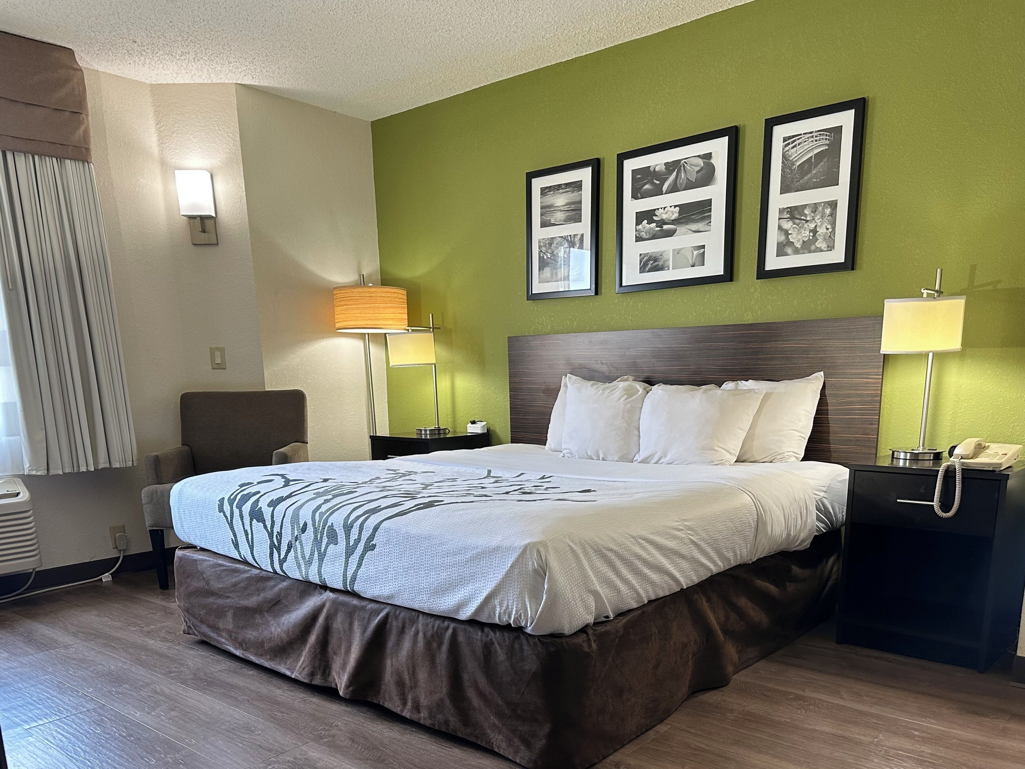 Une chambre d’hôtel avec un lit, deux tables de chevet, une lampe, une chaise et trois tableaux encadrés accrochés au mur.