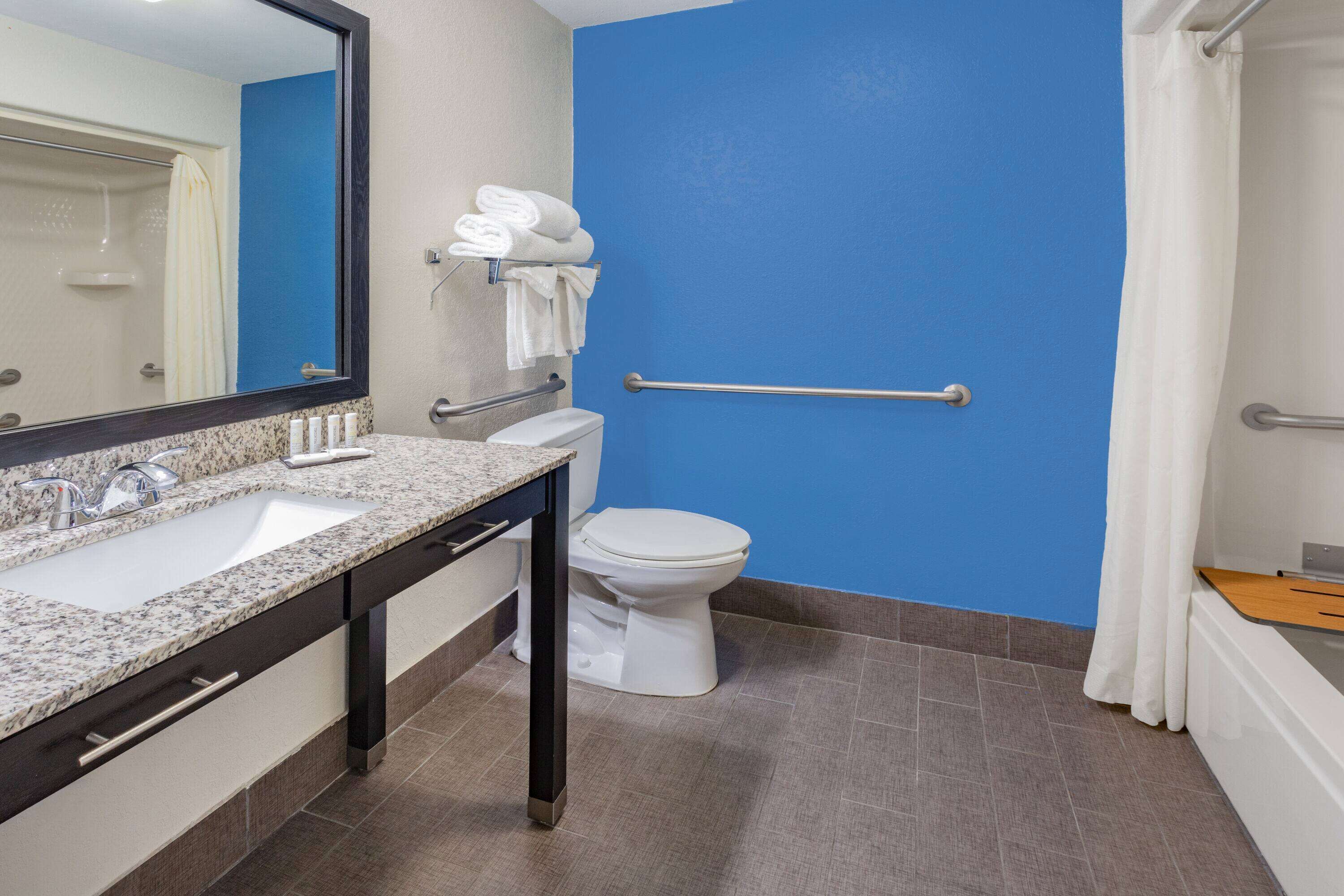 room, 1 queen bed, accessible, non smoking (mobility, hearing, tub w/grab bars) | bathroom | free toiletries, hair dryer, towels