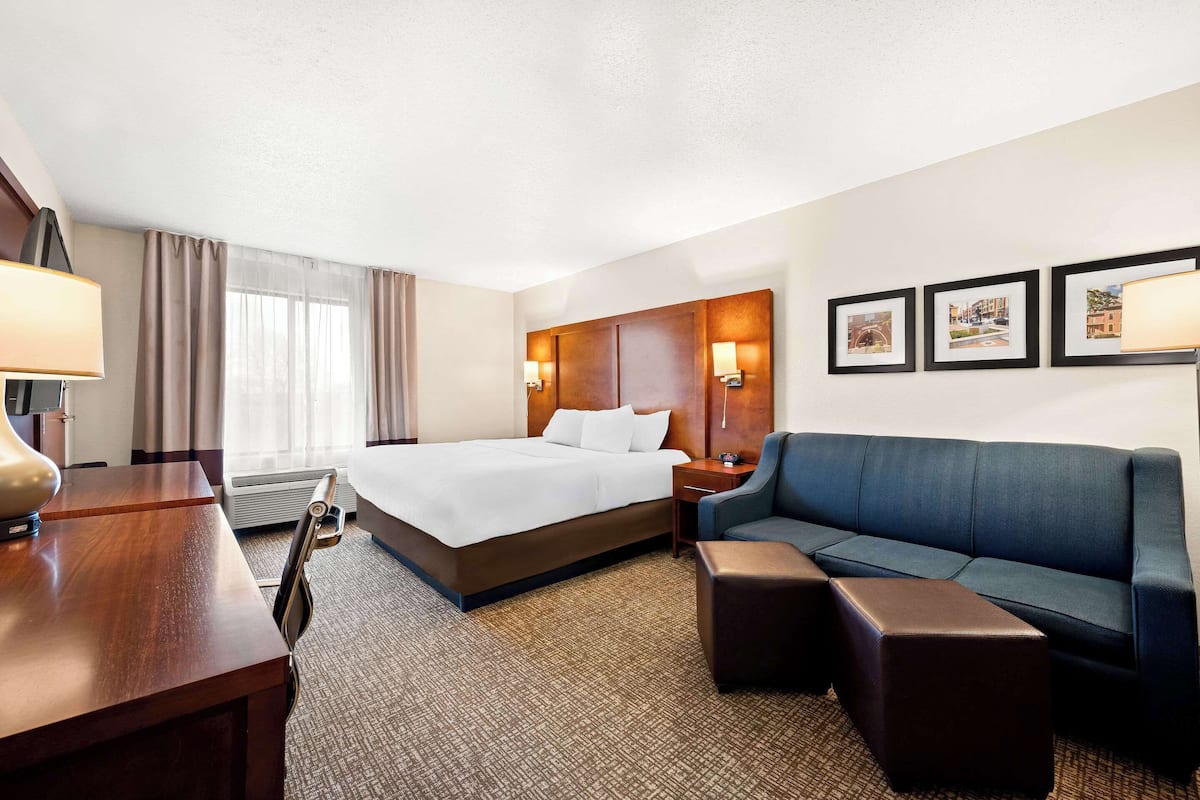 A hotel room with a bed, a sofa, a desk, and a chair.