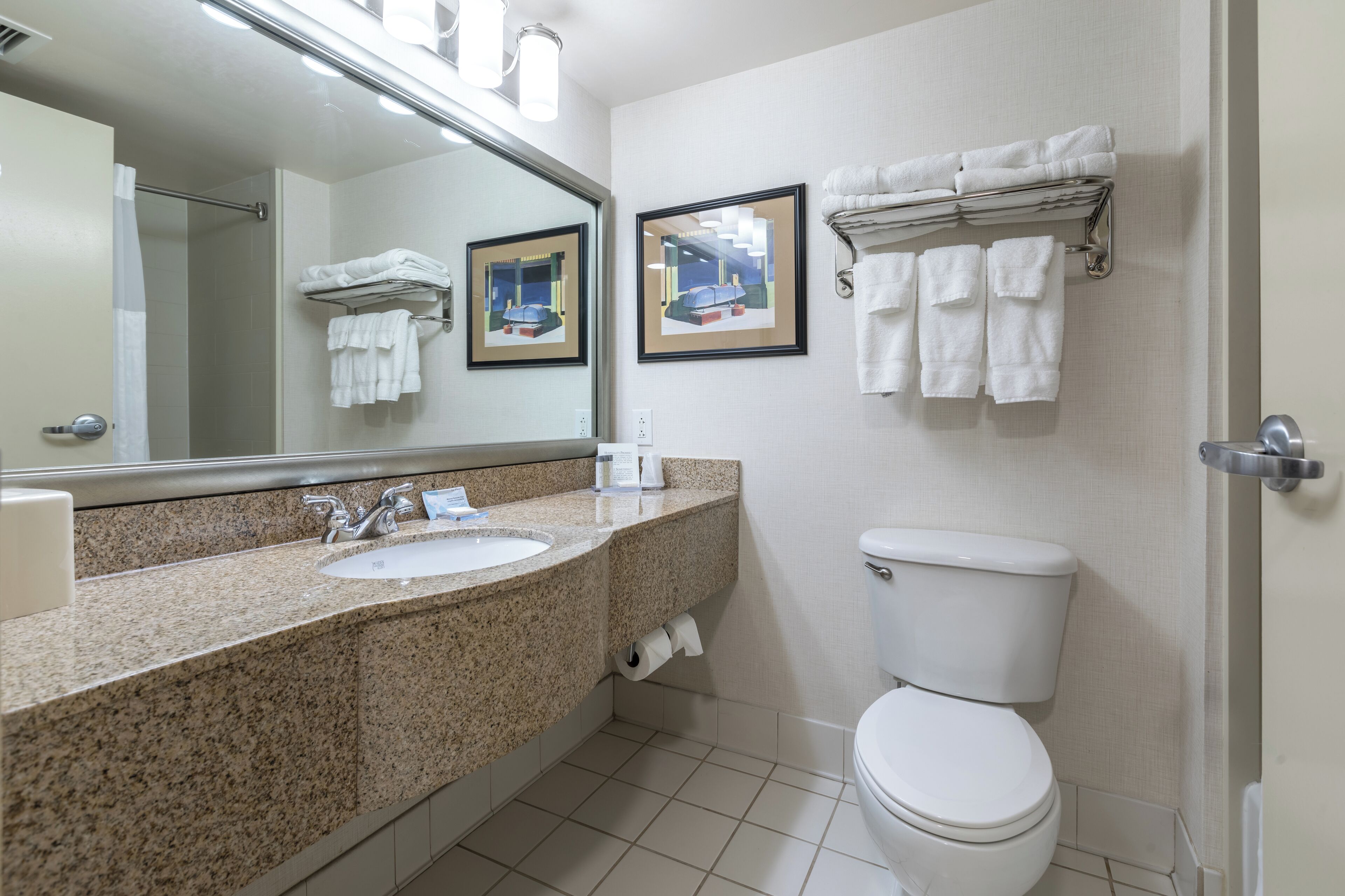 hair dryer, towels, soap, shampoo