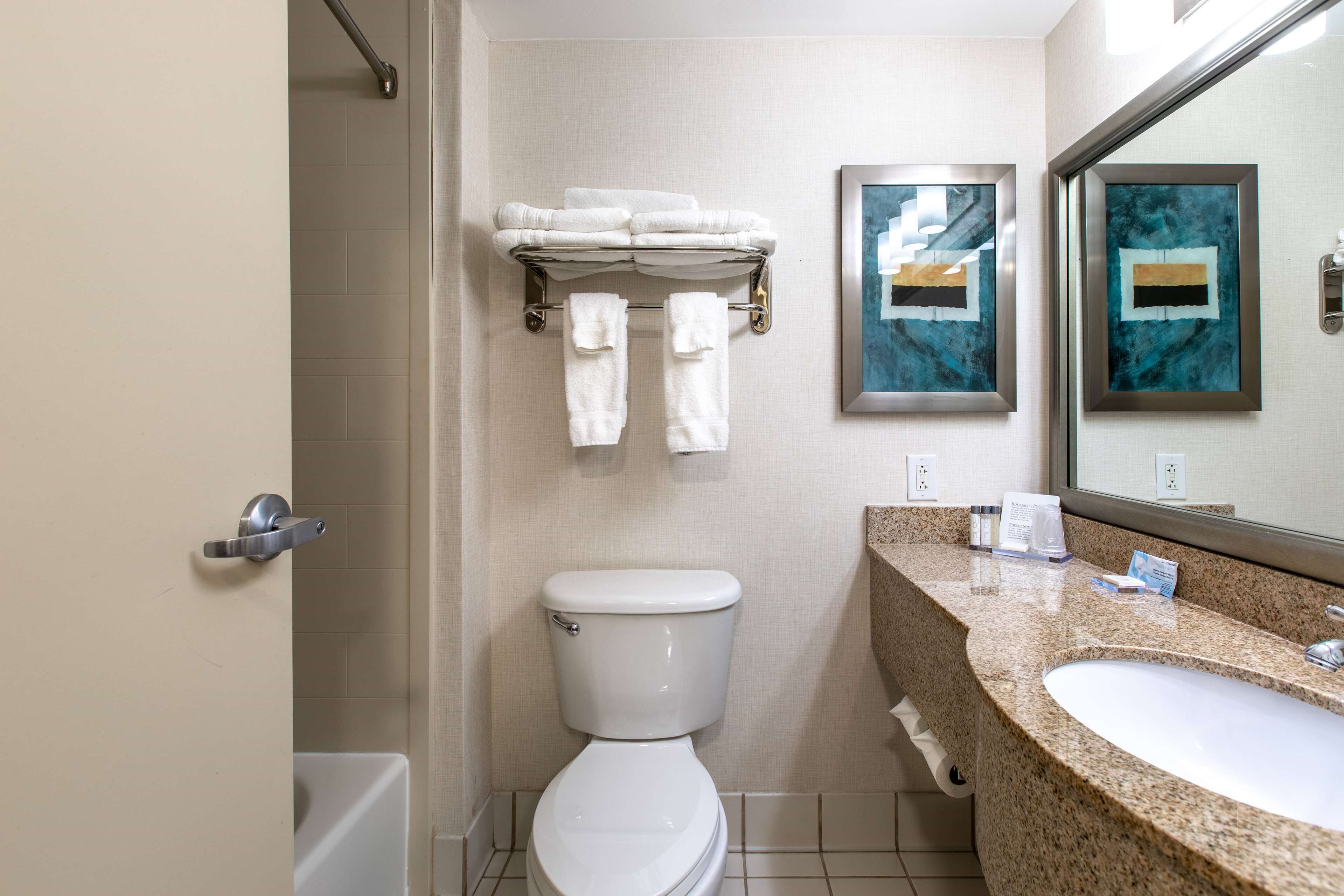 A bathroom with a toilet, a sink, and a towel rack.