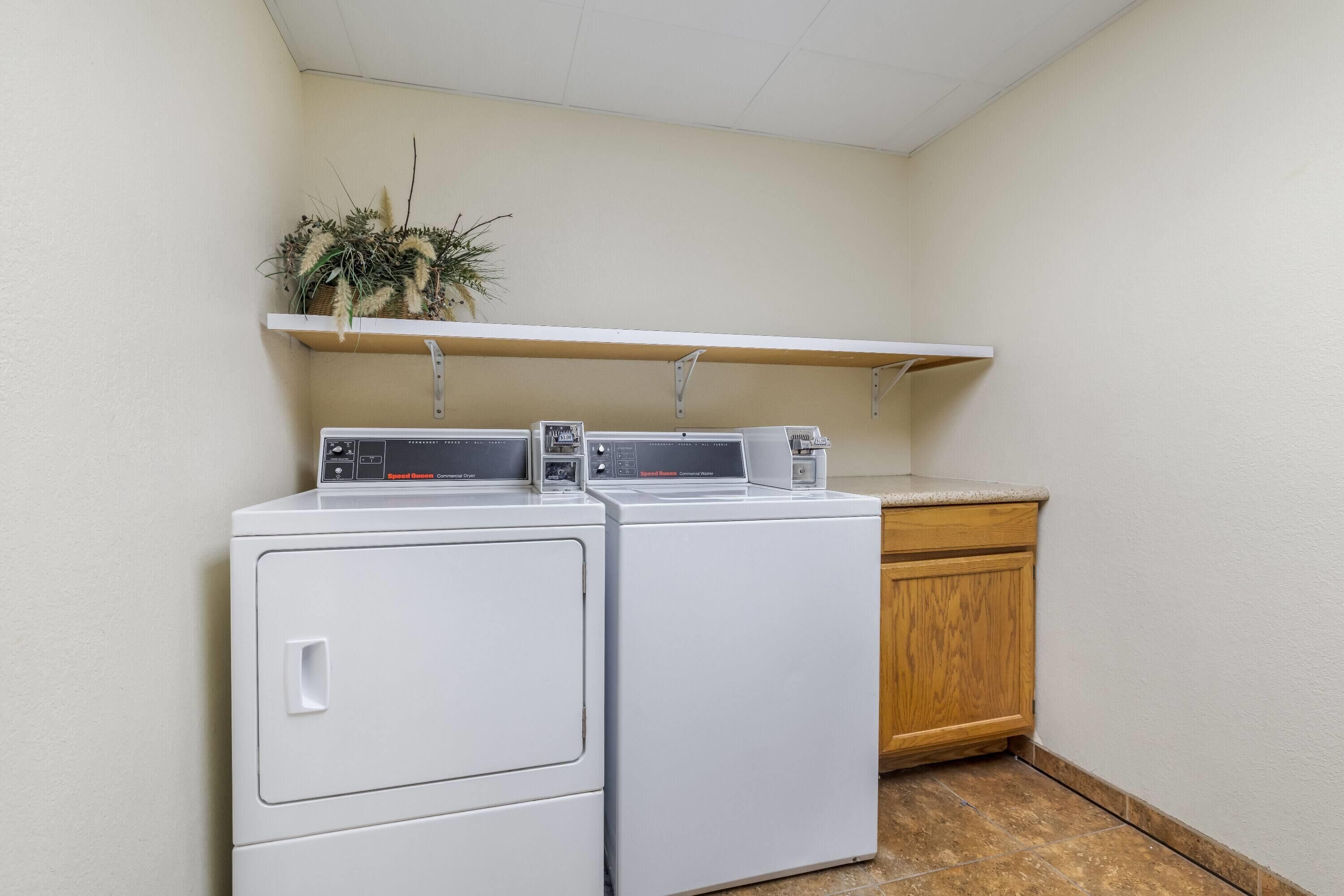 Un espace buanderie comprenant deux machines à laver et deux sèche-linge superposés, un meuble en bois et une étagère avec des plantes.