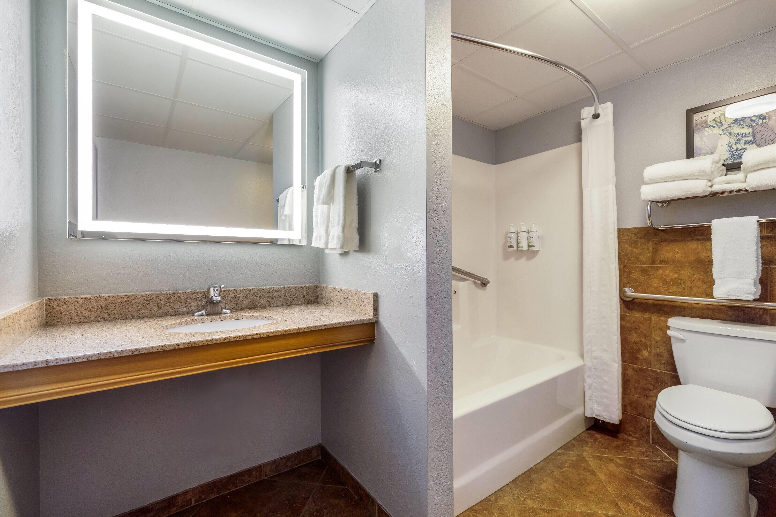 A bathroom with a sink, mirror, shower, and toilet.
