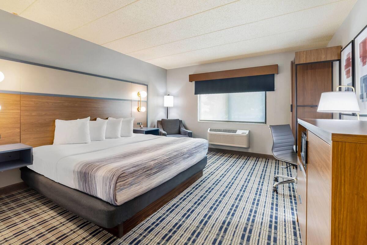 Room, 1 King Bed, Accessible, Non Smoking (Pet-friendly)