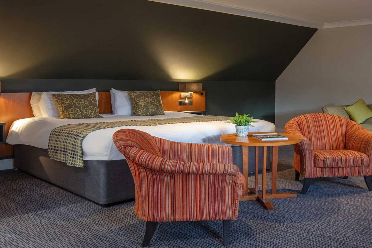 A hotel room with a large bed, two striped armchairs, a small round table with a plant, and a sofa with cushions.