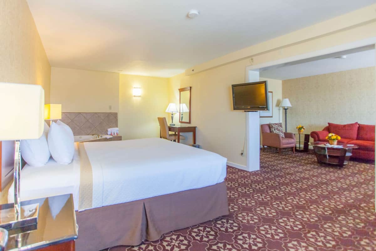 Une chambre d’hôtel équipée d’un lit, d’un bureau, d’une chaise, d’un canapé et d’une télévision.