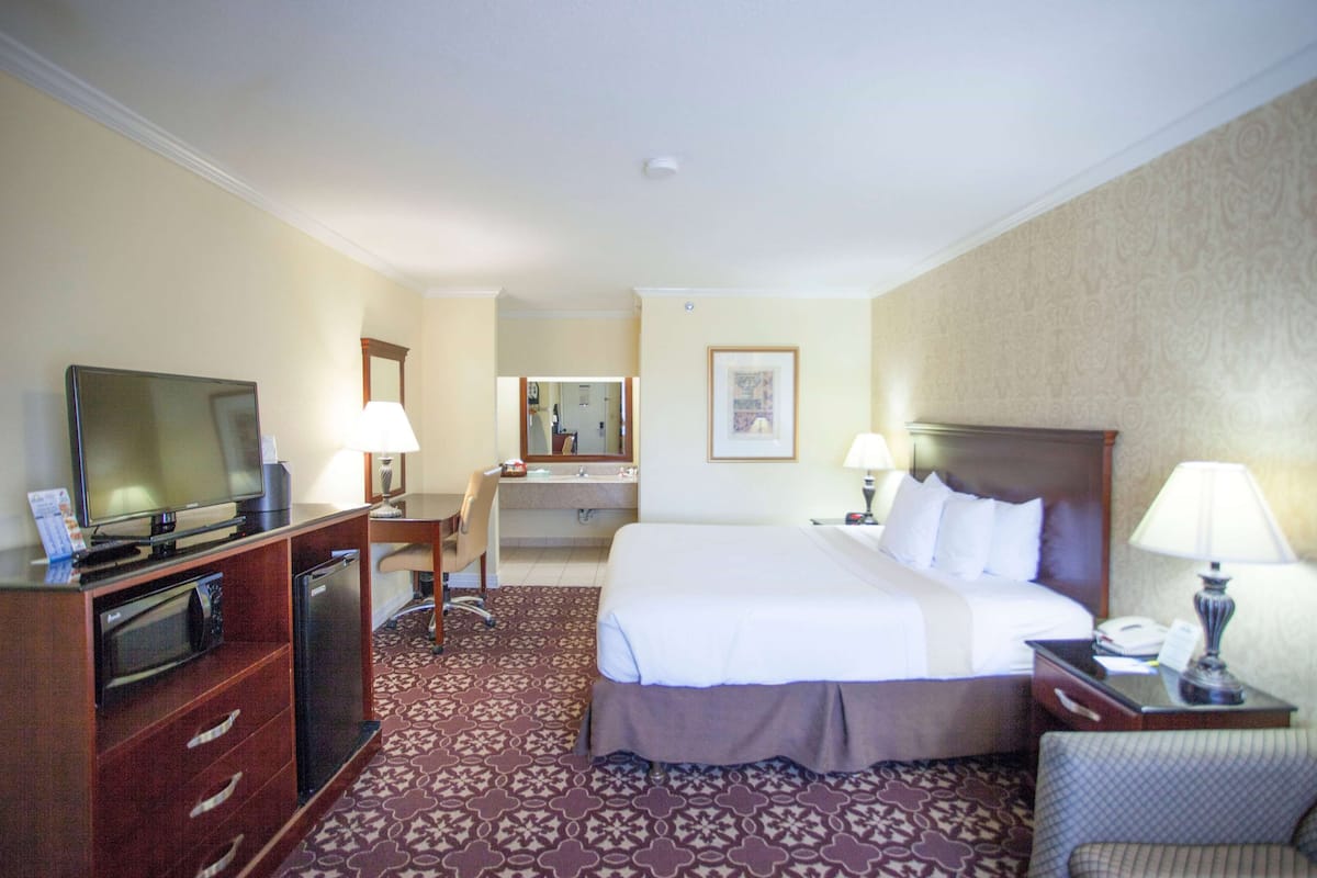 Une chambre d’hôtel avec un lit, un bureau, une télévision et une salle de bain visible au fond.