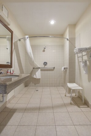 غرفة - سرير كبير - تجهيزات لذوي الاحتياجات الخاصة - لغير المدخنين (Tub with Grab Bars) | مكتب ومكواة/لوح كي وأسرّة أطفال/رضّع (مجانًا) وواي فاي مجانًا