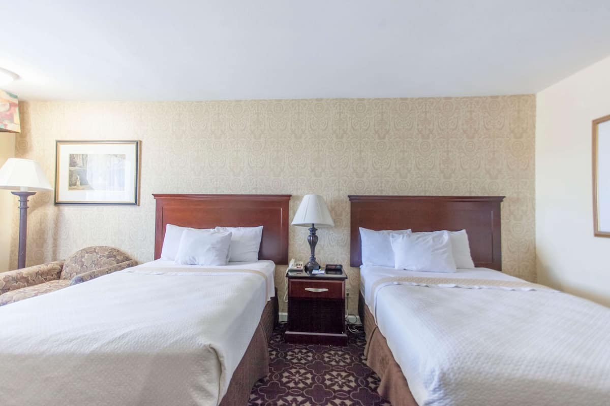 Une chambre d’hôtel avec deux lits, une table de chevet, une lampe et une moquette à motifs.