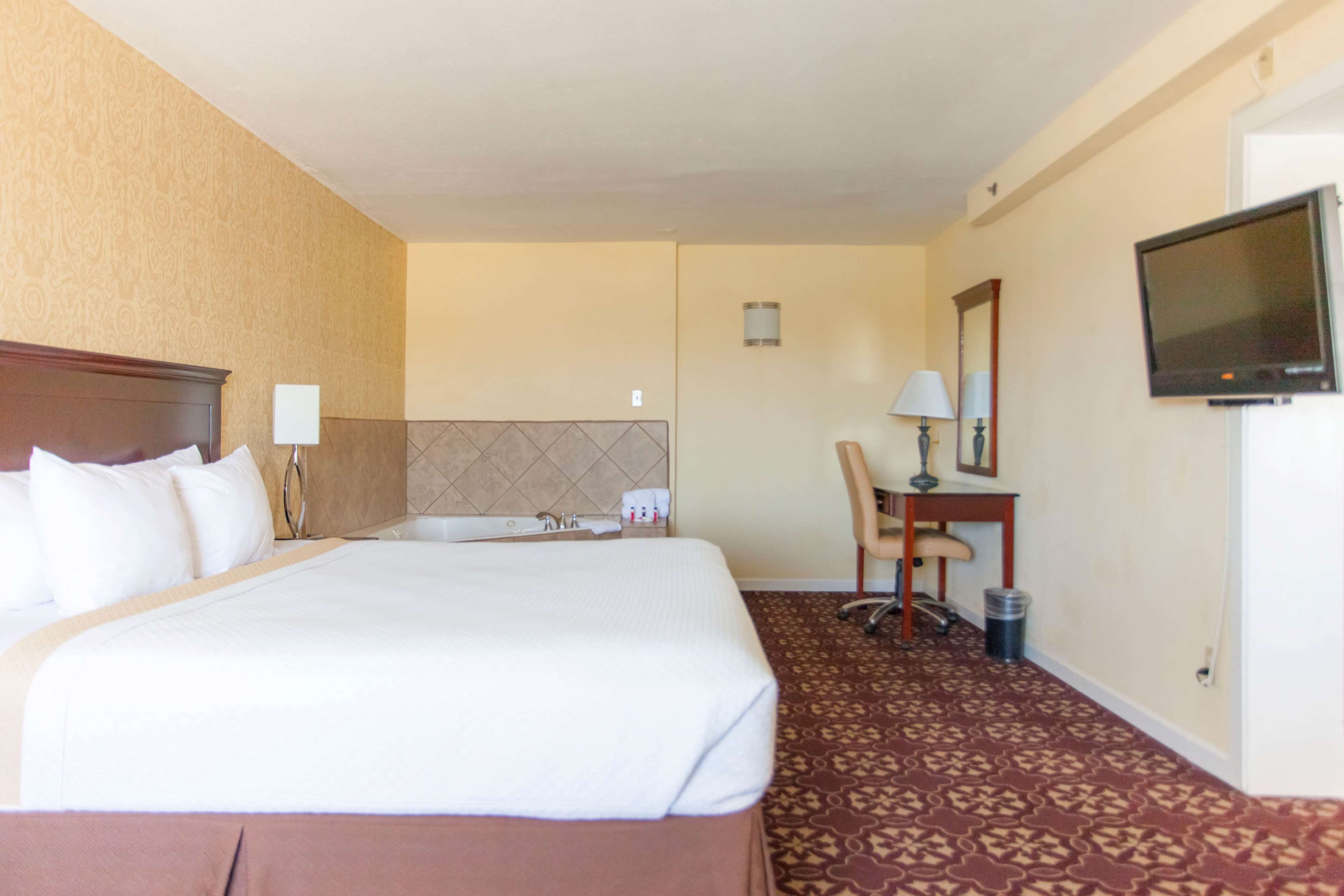 Habitación de hotel con una cama grande, un escritorio, una silla, un televisor y una alfombra estampada.