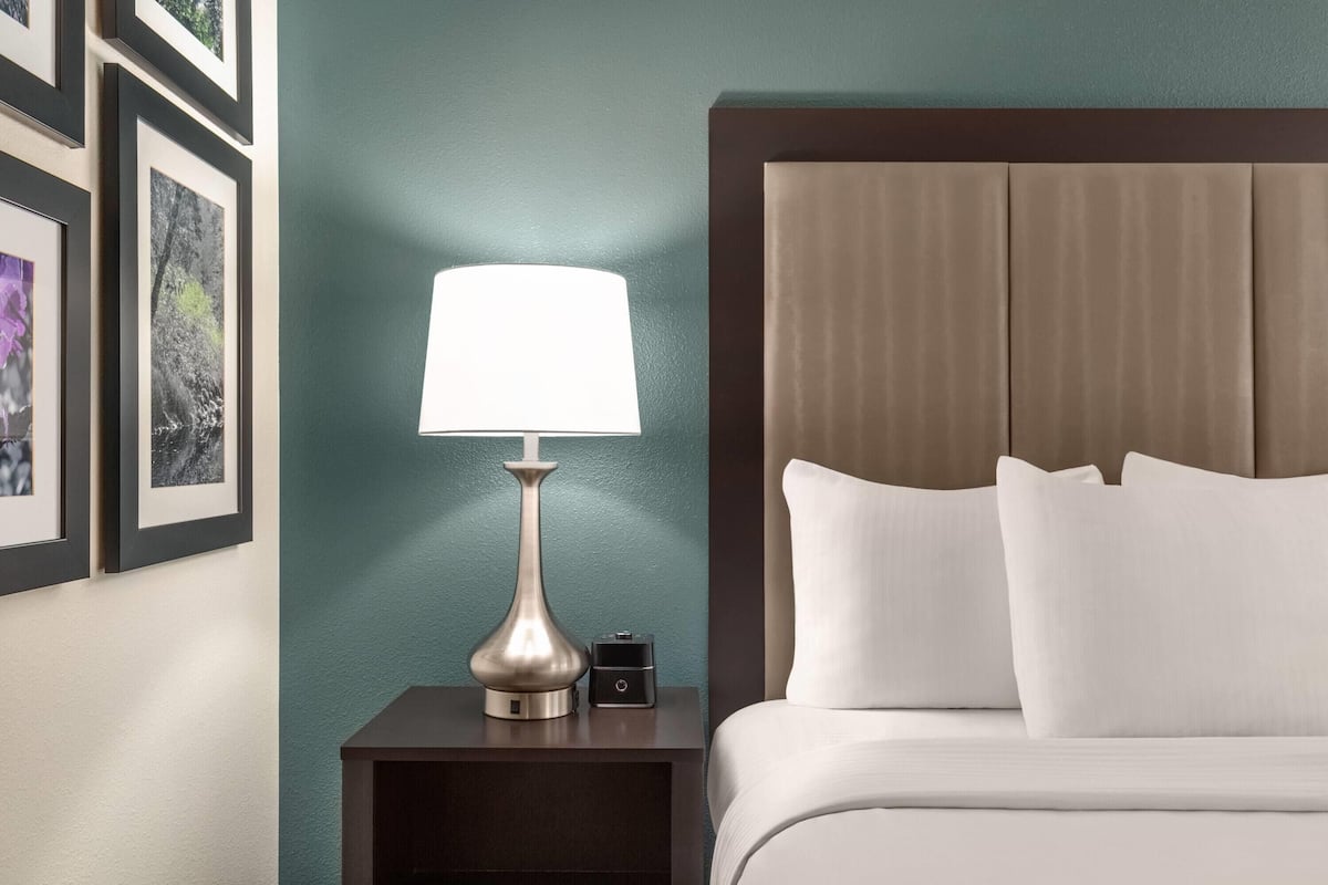 Phòng, 1 giường cỡ king, không hút thuốc | Bộ đồ giường cao cấp, bàn, bàn ủi/dụng cụ ủi quần áo