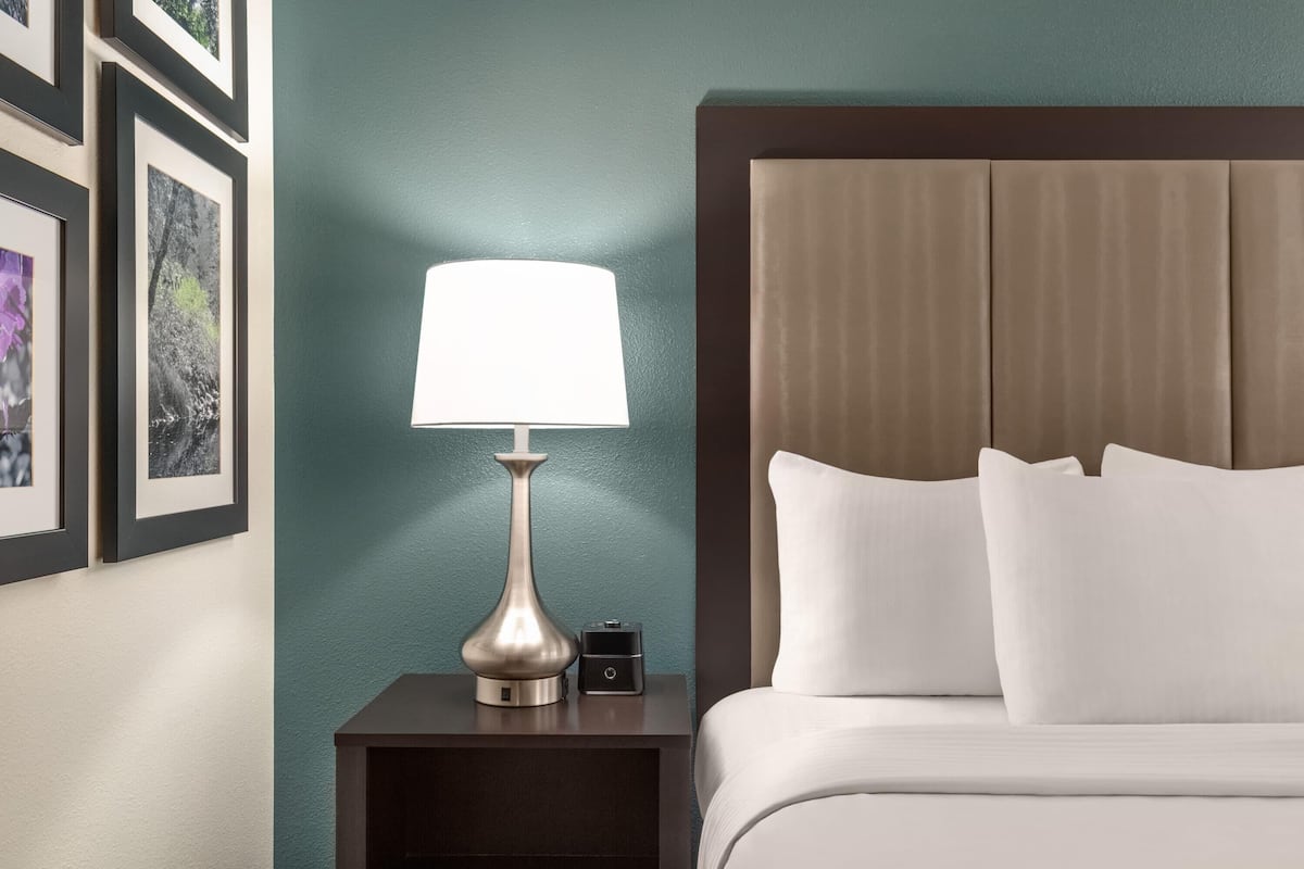 Room, 1 King Bed, Non Smoking | Premium bedding, desk, iron/ironing board, free WiFi