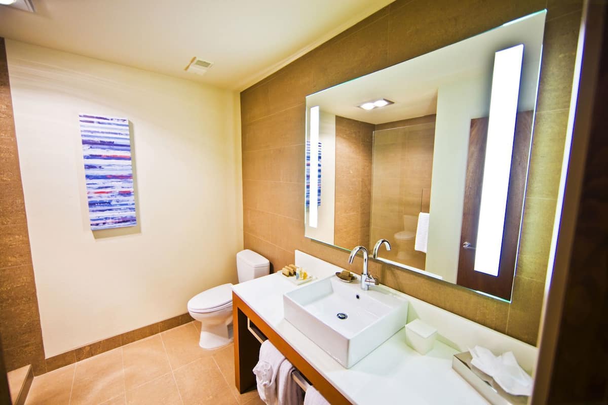 A bathroom with a white sink, a large mirror, a toilet, and a towel rack.