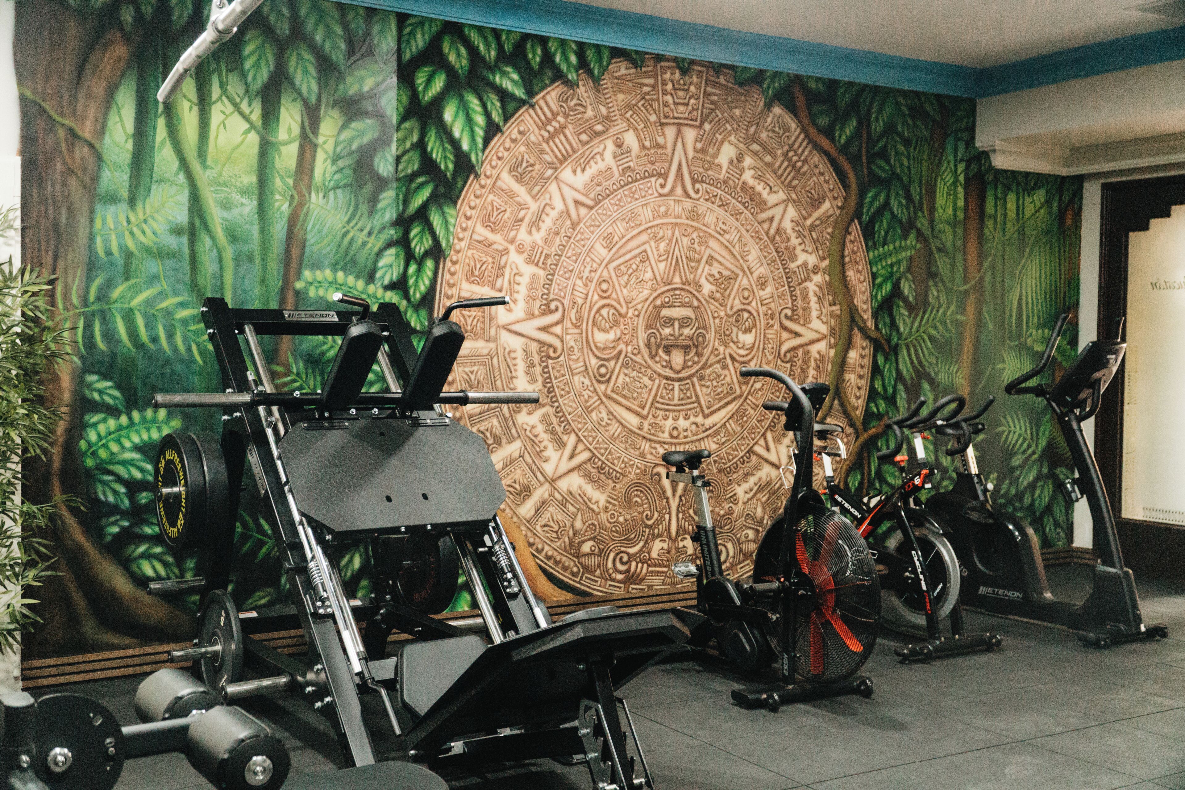 Uma academia com equipamentos de ginástica, incluindo uma estrutura para agachamento, um banco de supino e bicicletas ergométricas.