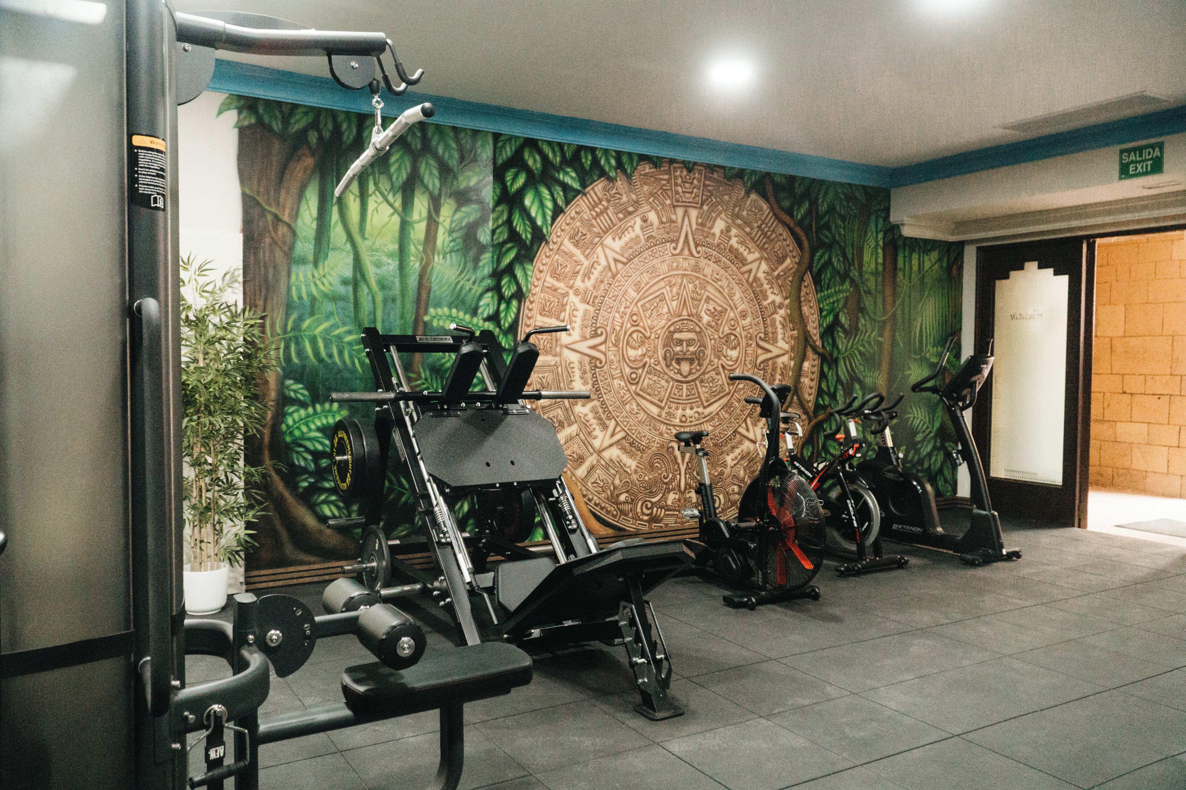 A gym with exercise equipment, a large mural, and a door marked 'SALIDA EXIT'.