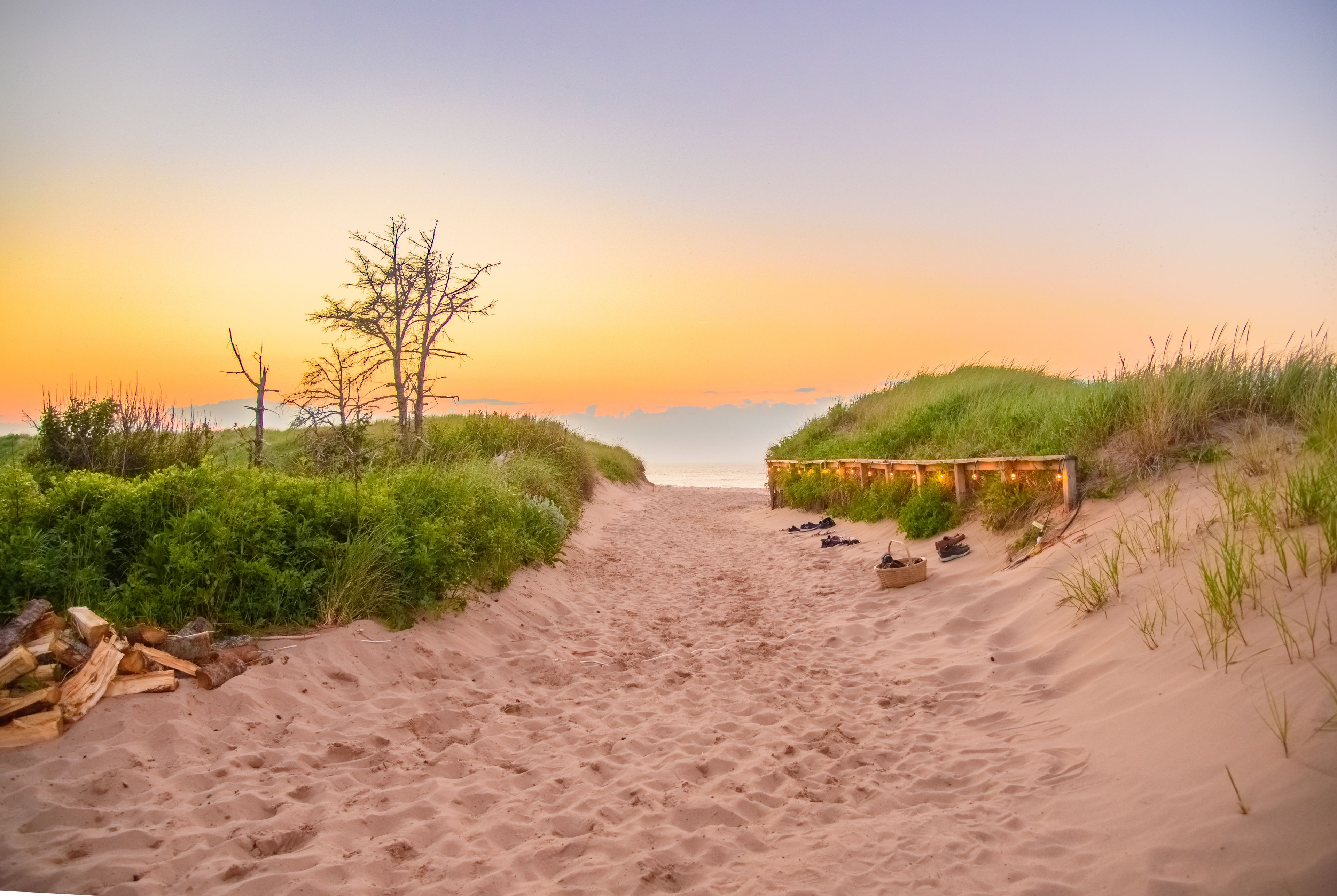 على الشاطئ، حافلة نقل من وإلى الشاطئ مجانًا