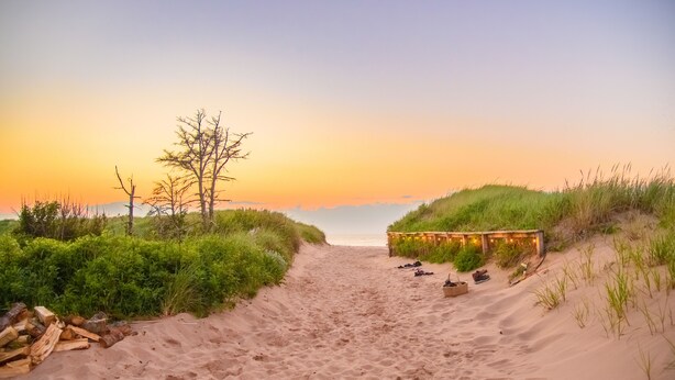Un sentier de plage sablonneux, avec une structure en bois sur la droite, entouré de verdure.