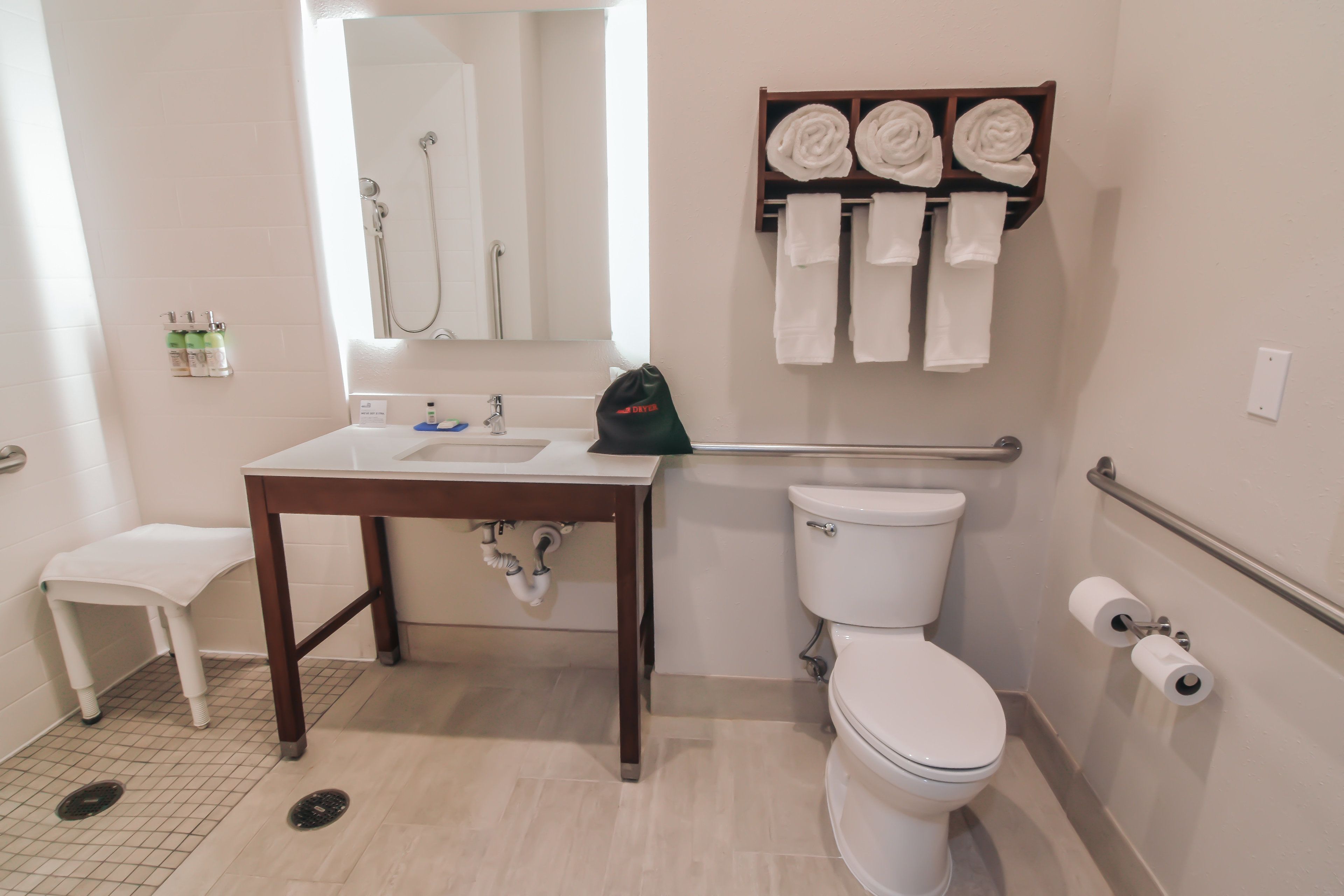 standard room, 1 king bed, accessible (communications, roll-in shower) | bathroom | combined shower/bathtub, hydromassage showerhead, free toiletries