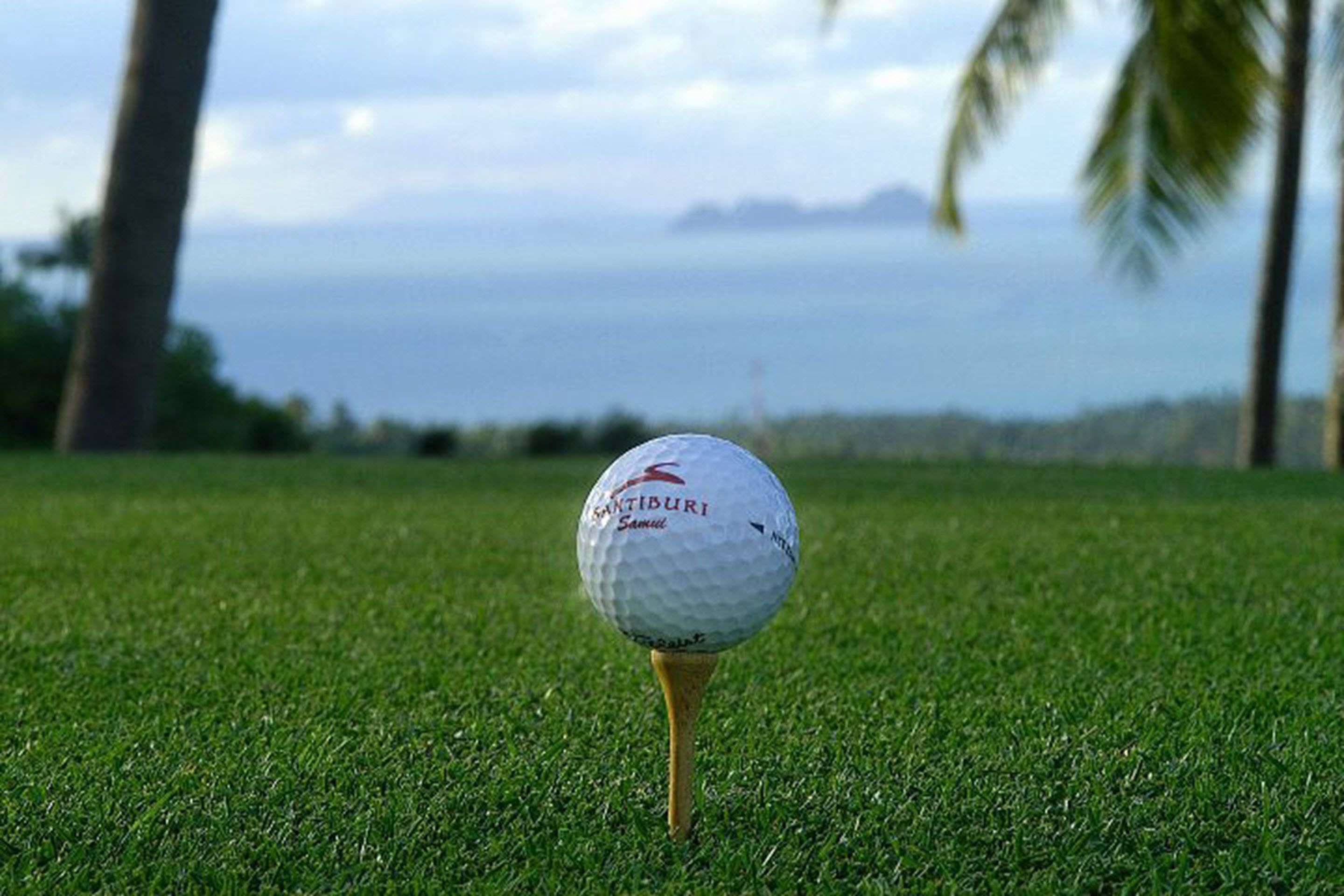 Uma bola de golfe sobre um tee num campo gramado, com vista para o oceano e palmeiras ao fundo.