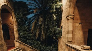 Una escala de pedra amb una palmera al fons.