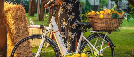 Ein Fahrrad mit einem Korb voller Zitronen und einem Korbnachbau an der Rückseite, abgestellt auf einer Rasenfläche in der Nähe von Heuballen.