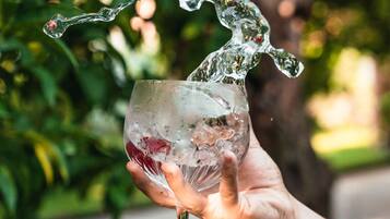 A hand holding a glass with a clear liquid and ice cubes.