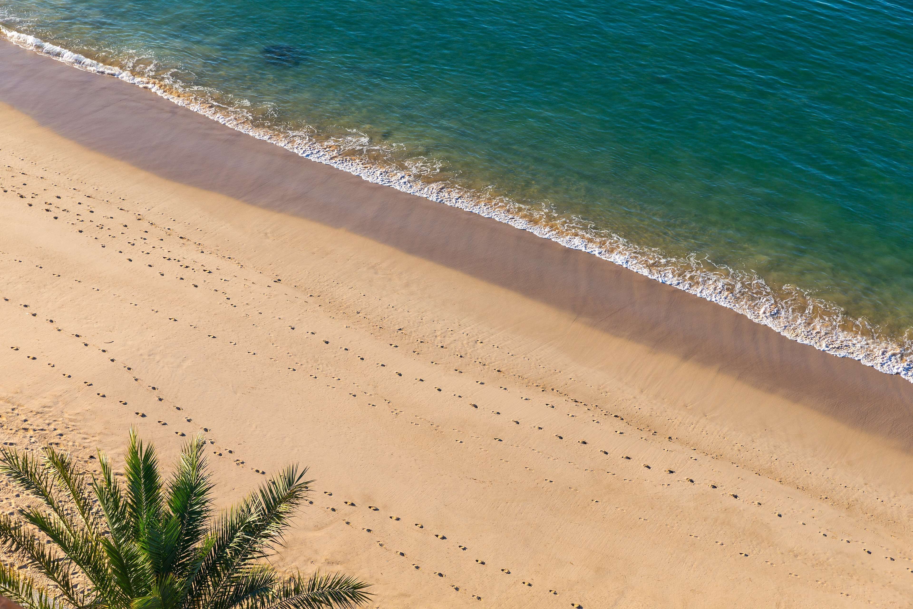 Una playa arenosa con aguas azules cristalinas, palmeras y huellas.