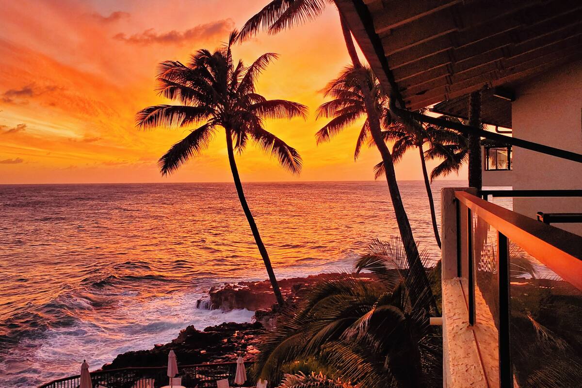 A coastal view with palm trees and a sunset.