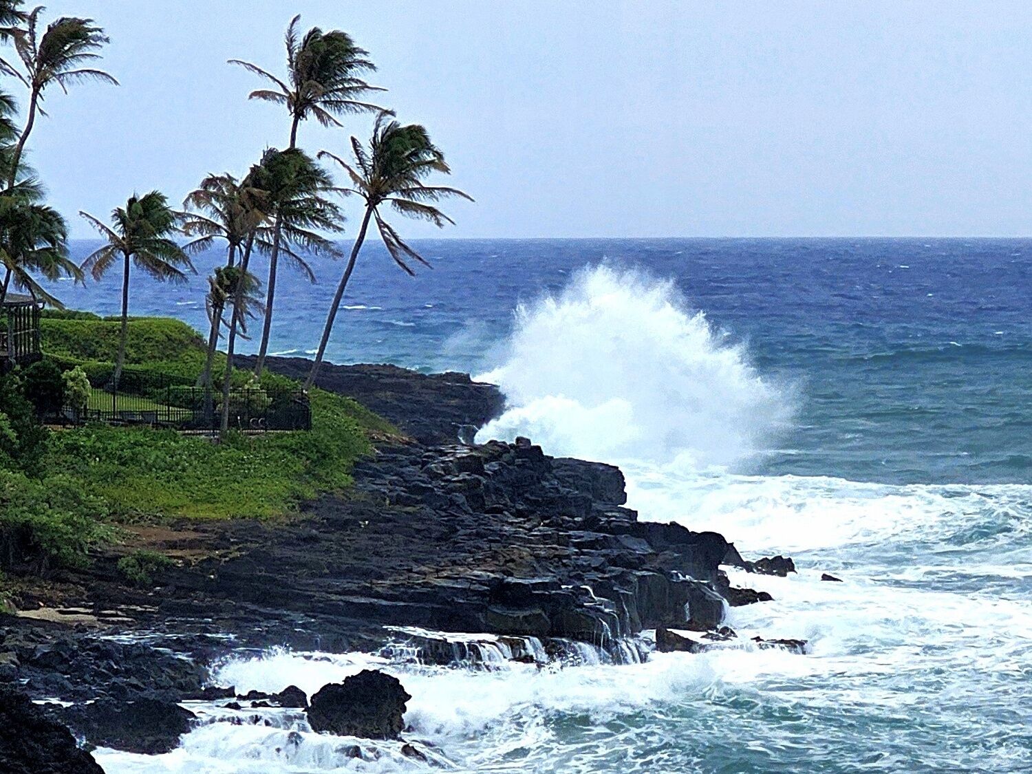 A rocky coastline with palm trees and waves crashing against the shore.