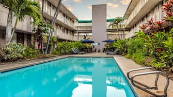 Una piscina al aire libre, sombrillas, sillones reclinables de piscina