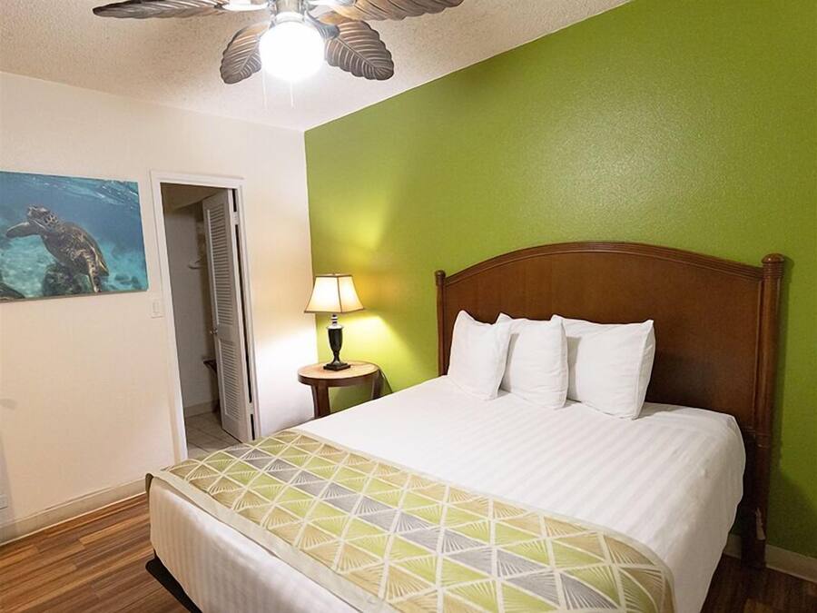 Ein Hotelzimmer mit einem Bett, einem Nachttisch mit Lampe, einem Deckenventilator und einem Gemälde einer Meeresschildkröte.