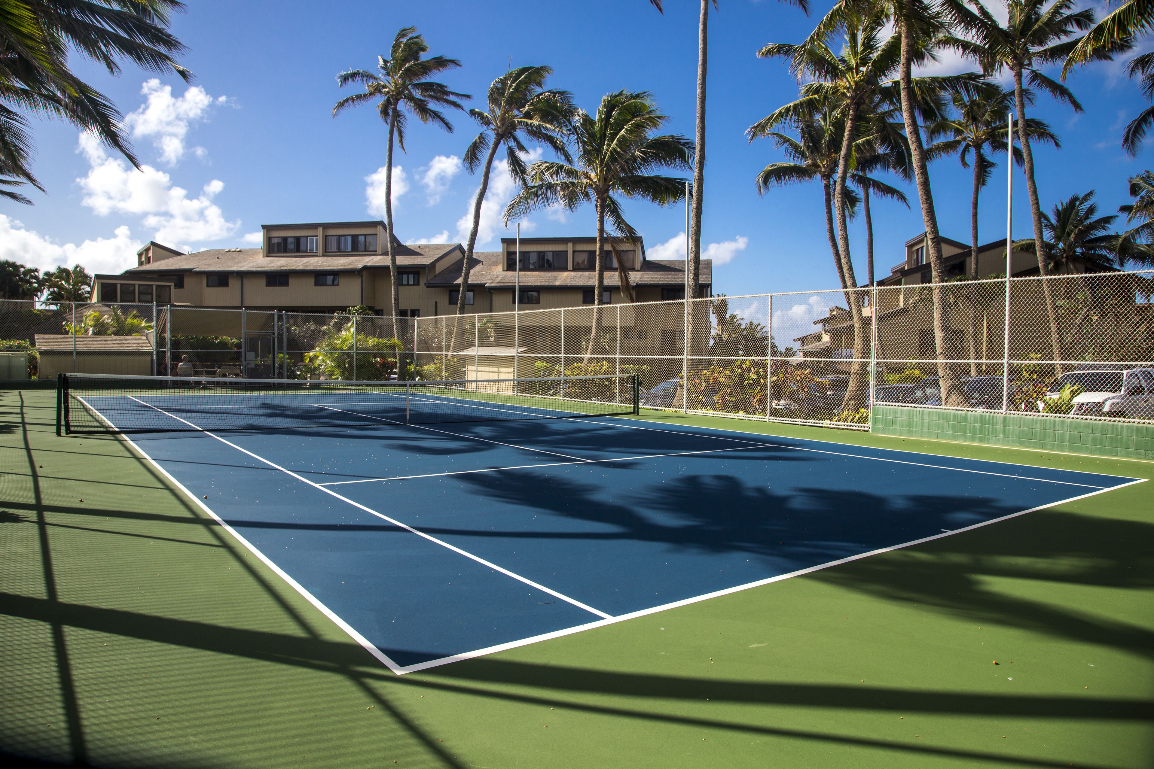 Un court de tennis avec un filet, entouré d’une clôture, de palmiers et de bâtiments en arrière-plan.