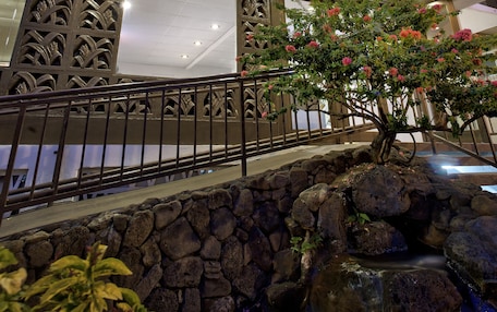 A hotel with a modern facade, a stone water feature, and a sign indicating it is a 'Stay Waikiki' location.