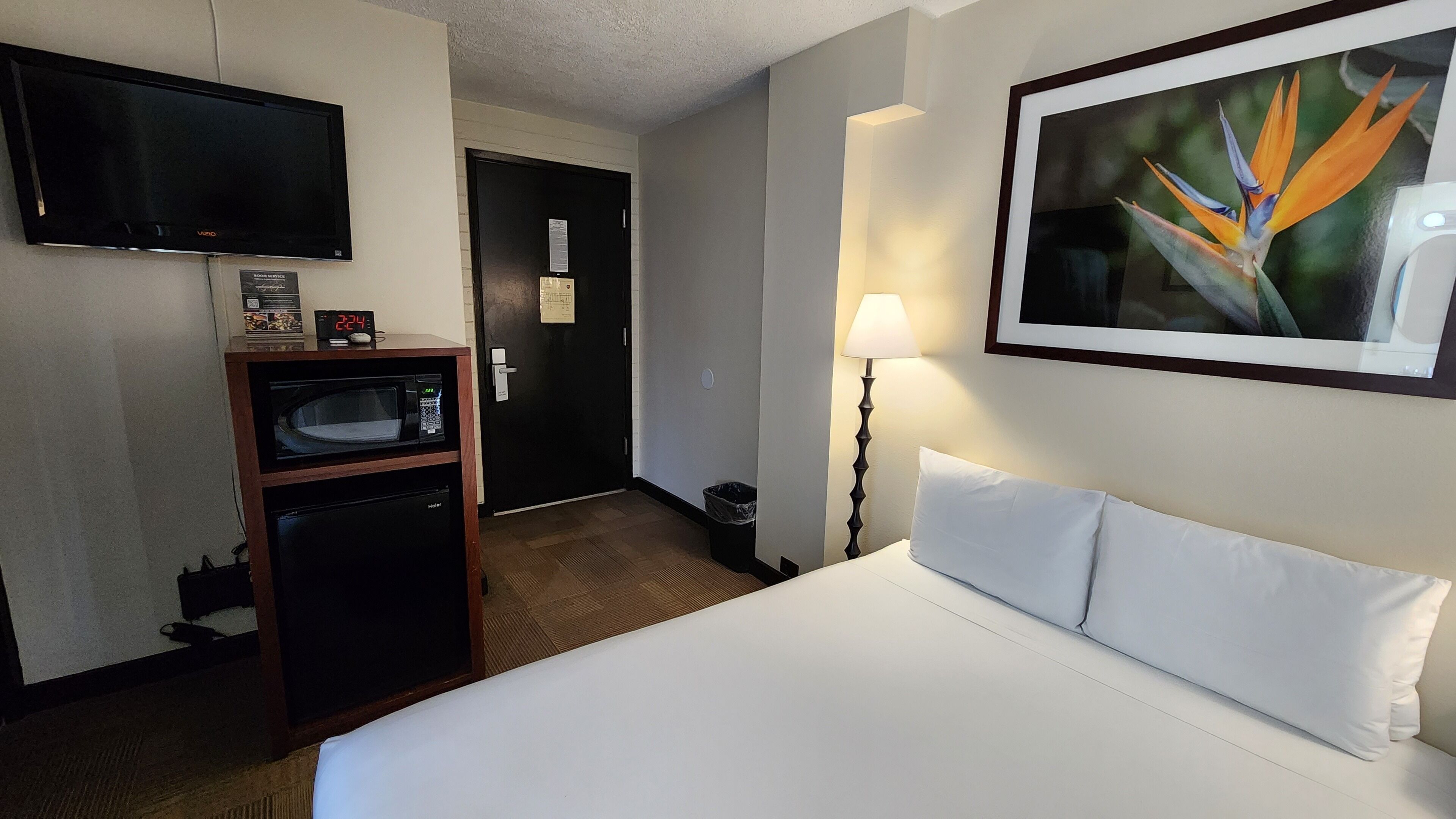 A hotel room with a bed, a TV mounted on the wall, a microwave, a small refrigerator, a trash bin, and a framed picture of a bird of paradise.