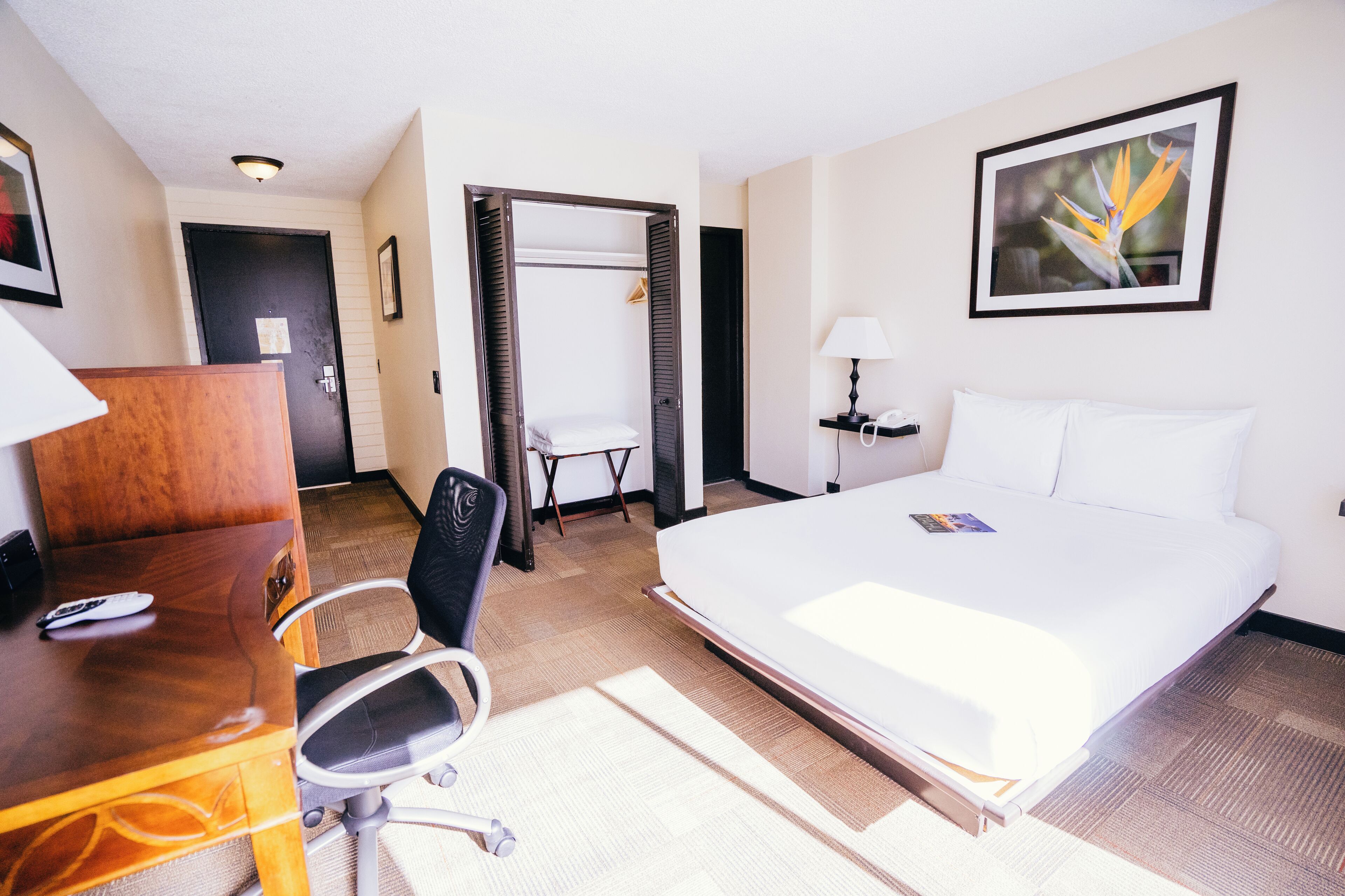 A hotel room with a large bed, a desk with a chair, a wardrobe, a bedside table with a lamp, and a framed picture on the wall.