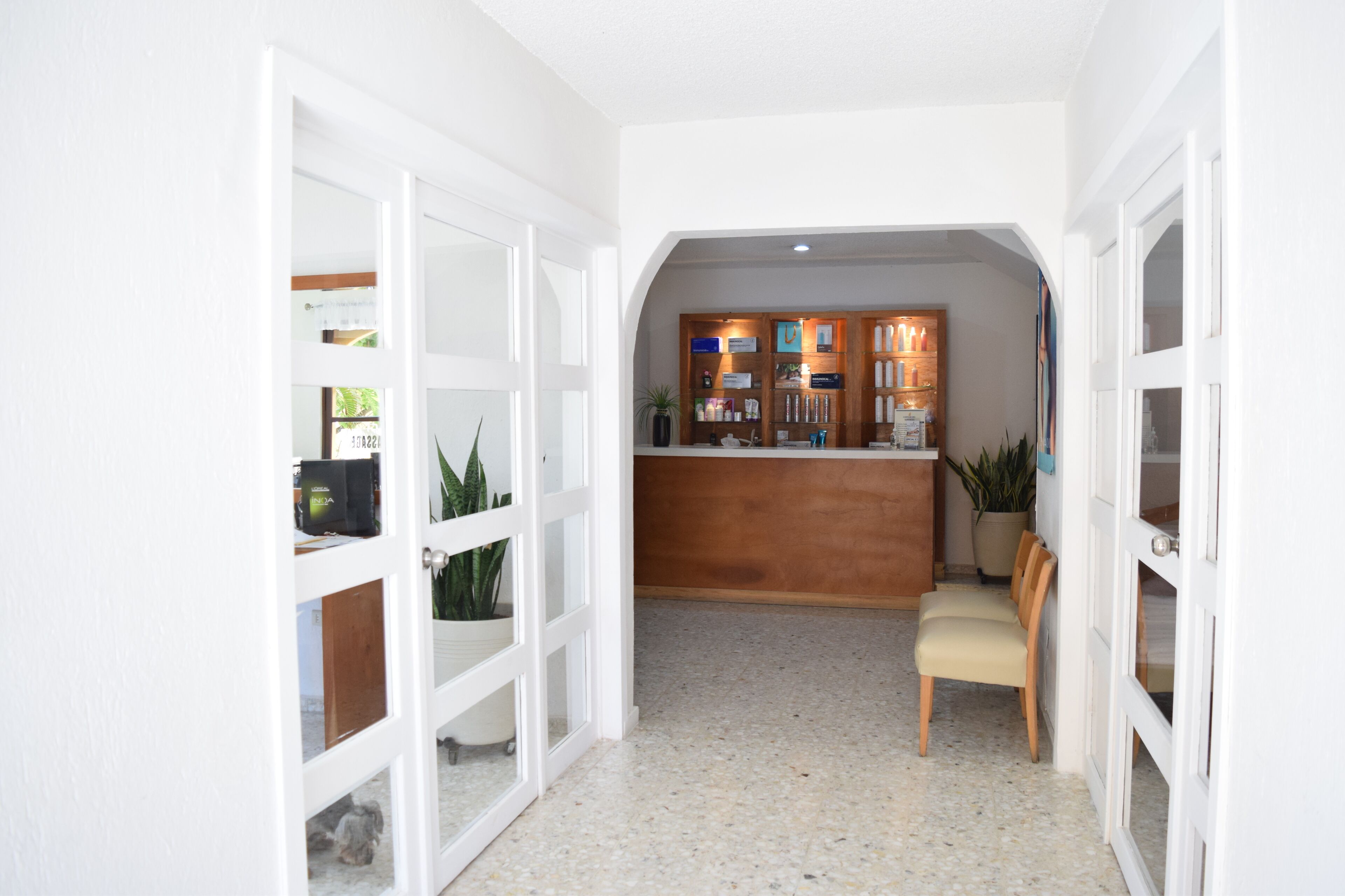 A reception area with a wooden counter, a seating area with a chair, and a potted plant.