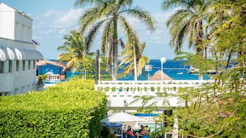 Jardim