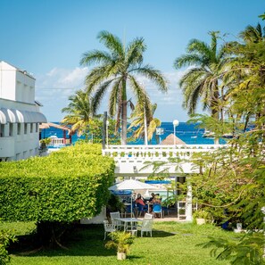 Jardin