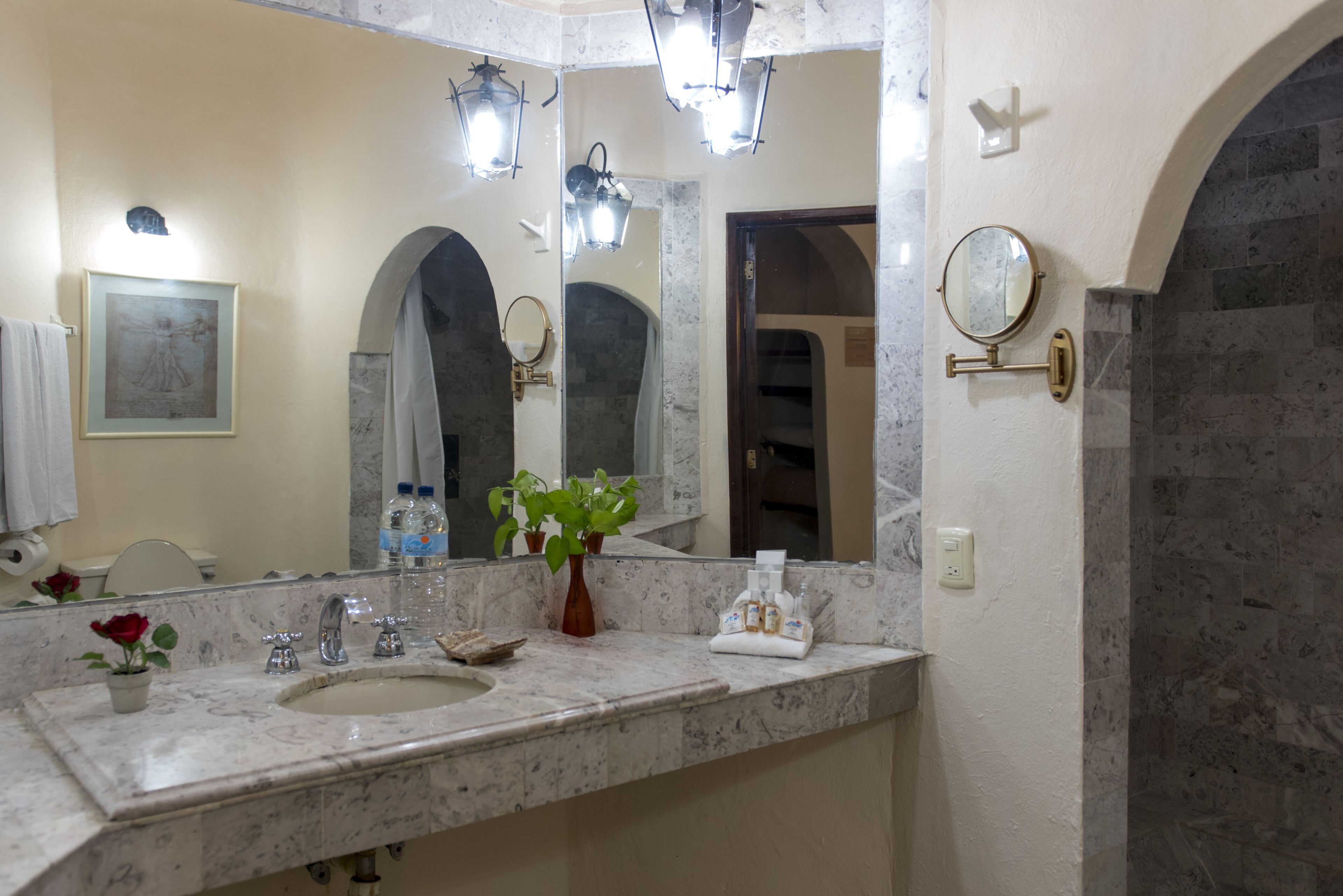 A bathroom with a marble sink, two wall-mounted mirrors, a potted plant, and a framed picture on the wall.