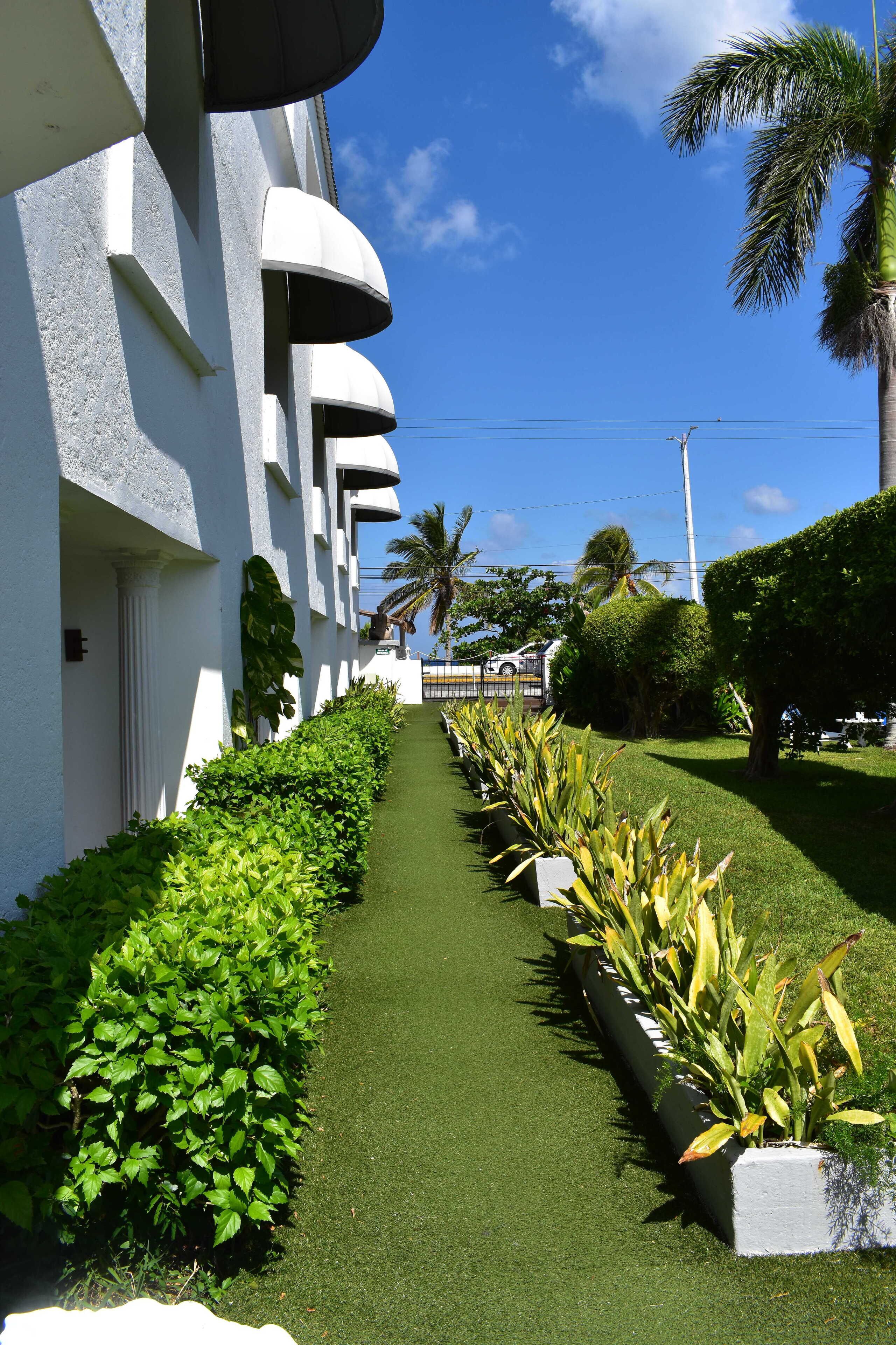 A pathway flanked by neatly trimmed hedges and a palm tree, leading to a building with white walls and balconies.