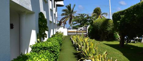 A pathway flanked by neatly trimmed hedges and a palm tree, leading to a building with white walls and balconies.