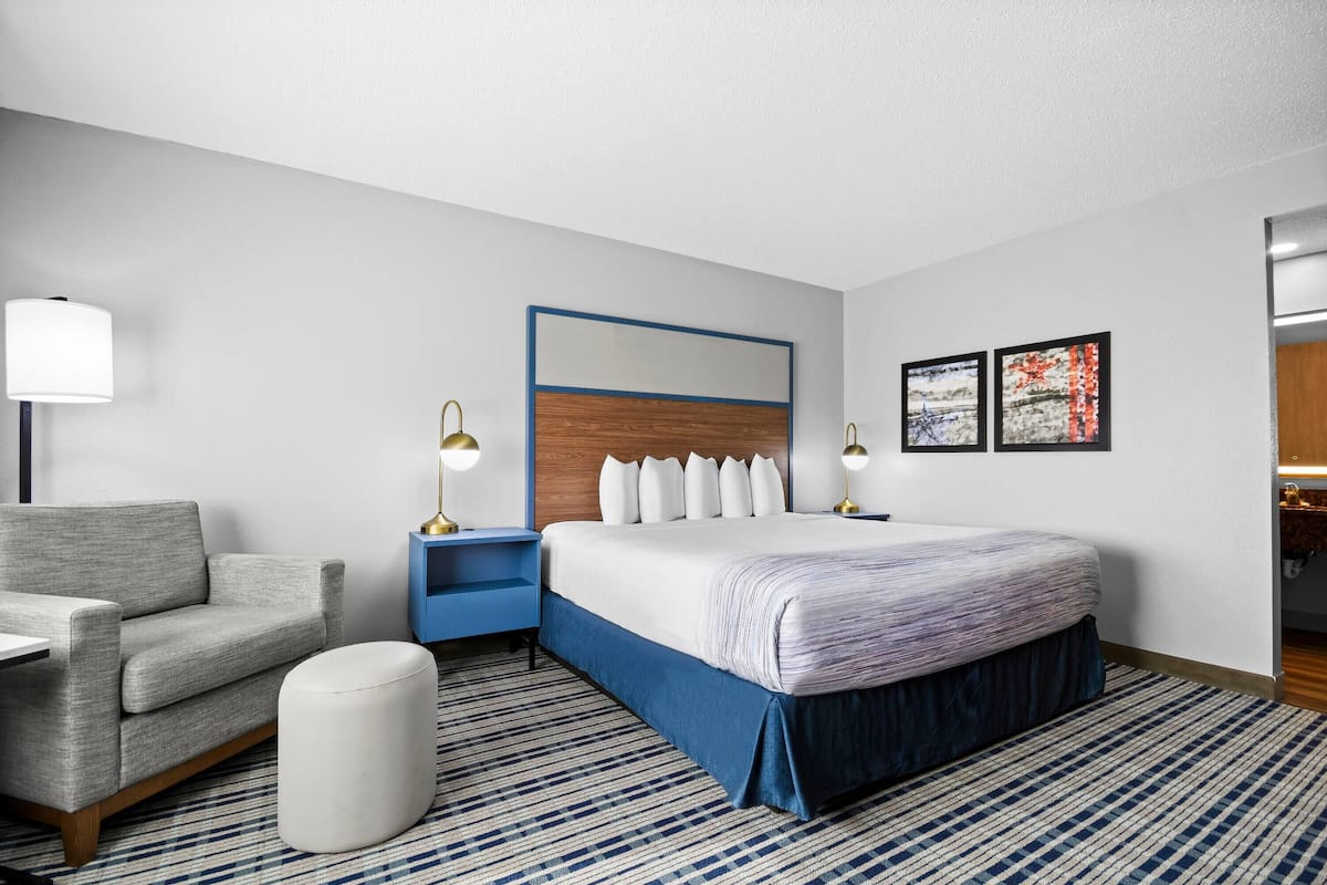 Studio Suite, 1 King Bed, Non Smoking | In-room safe, desk, iron/ironing board, free cribs/infant beds