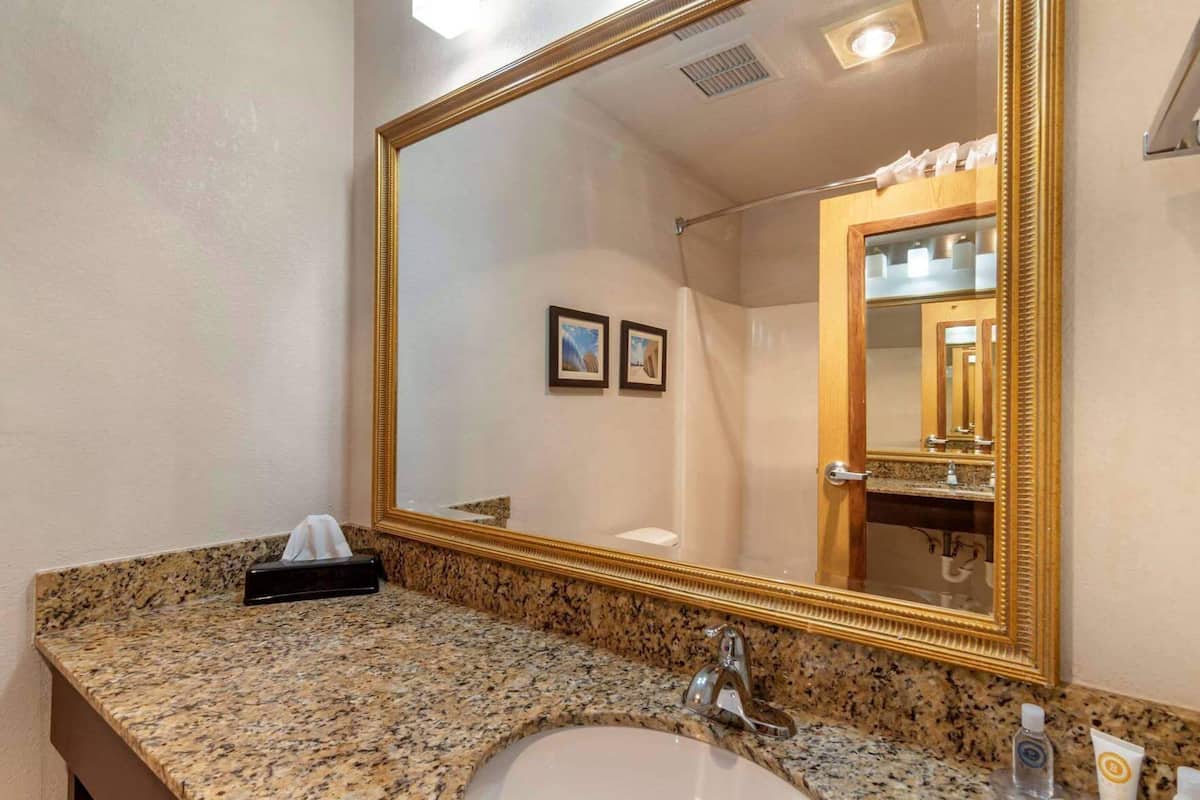 Bathroom | Combined shower/tub, free toiletries, hair dryer, towels