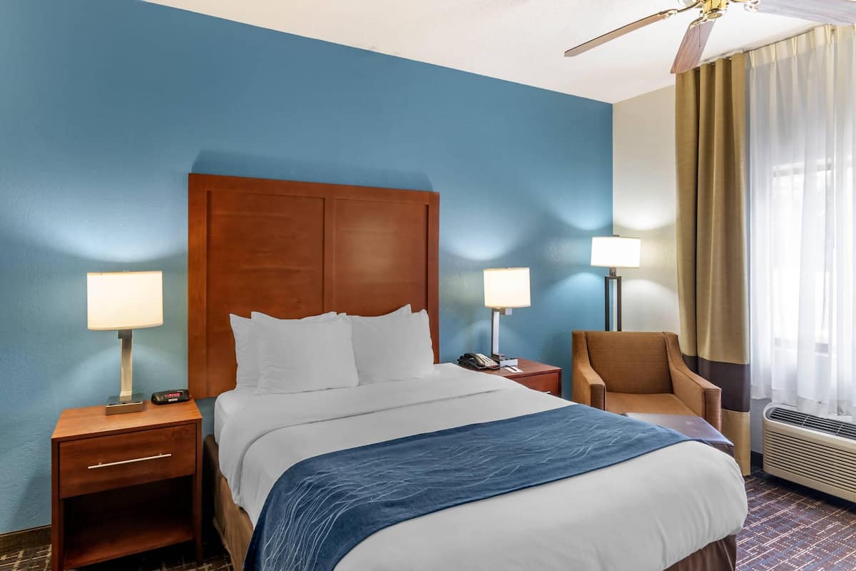 In-room safe, desk, iron/ironing board, cribs (free)