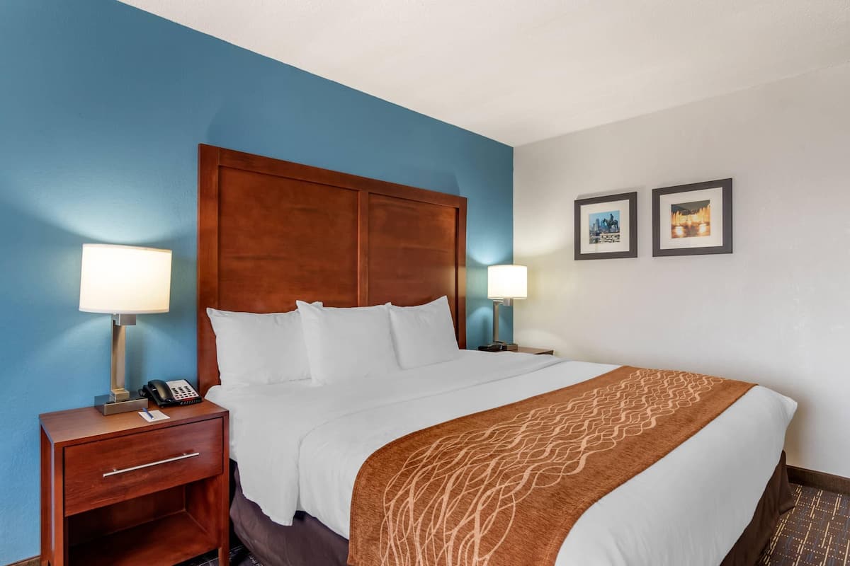 Standard Room, 1 King Bed, Non Smoking | In-room safe, desk, iron/ironing board, cribs (free)