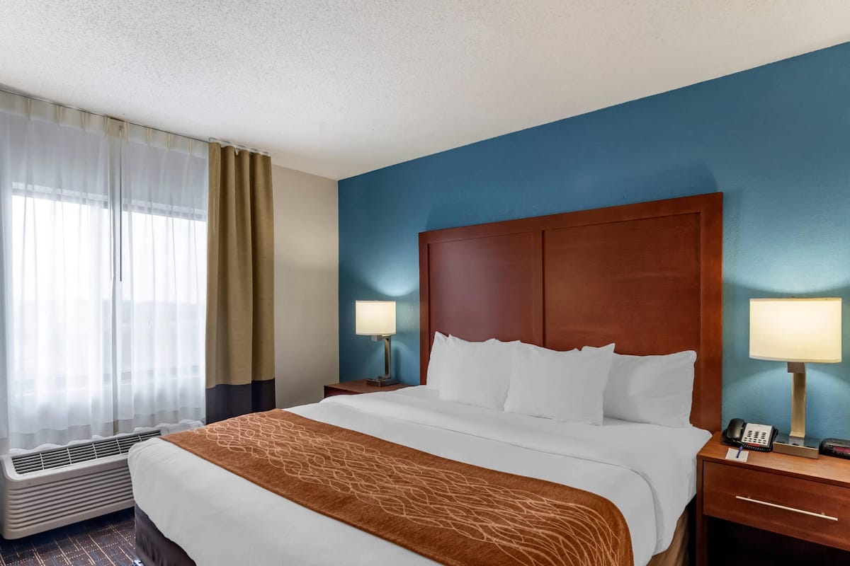 Suite, 1 King Bed, Non Smoking | In-room safe, desk, iron/ironing board, cribs (free)